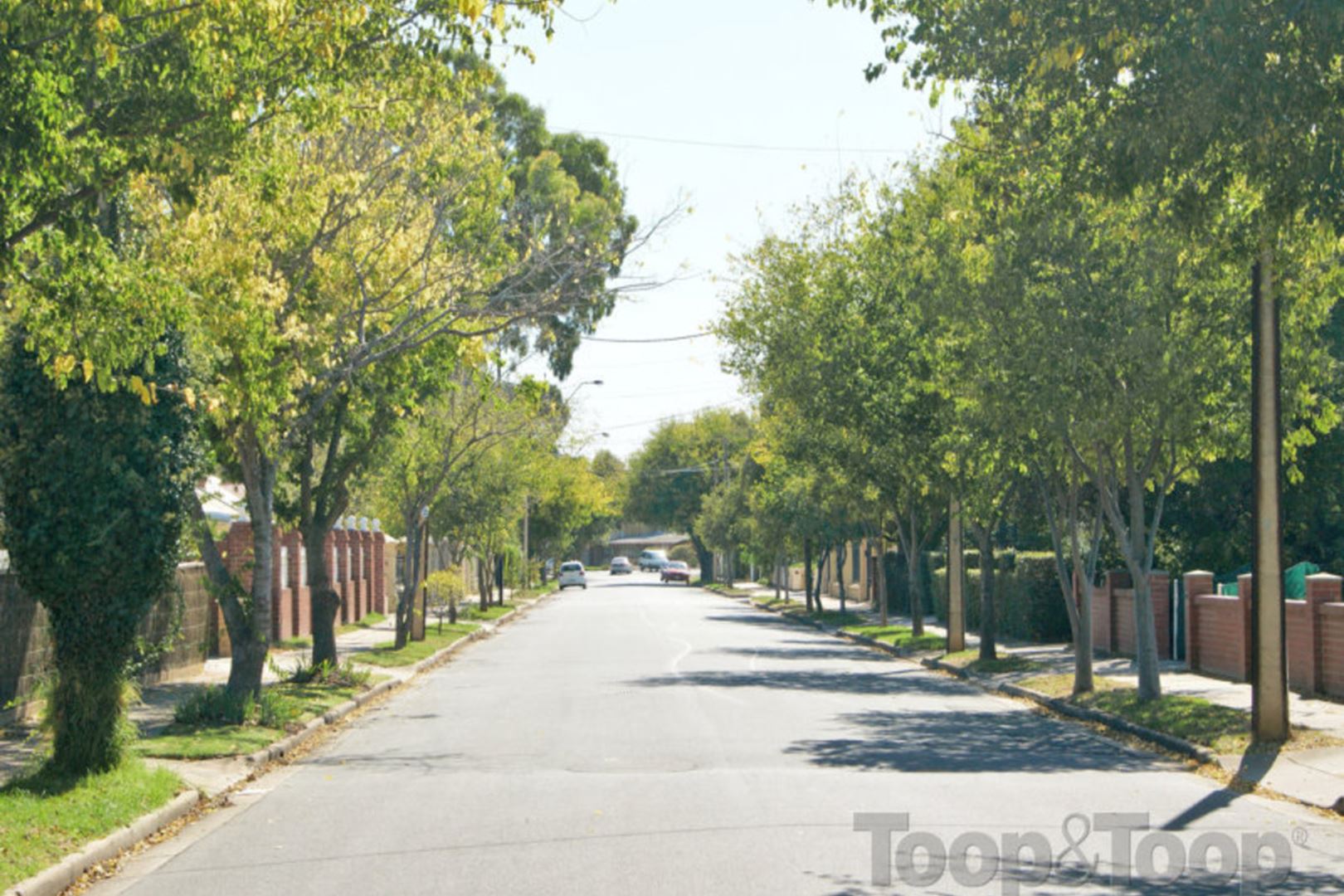 22 Beaufort Street, Woodville SA 5011, Woodville - Thumbnail 3