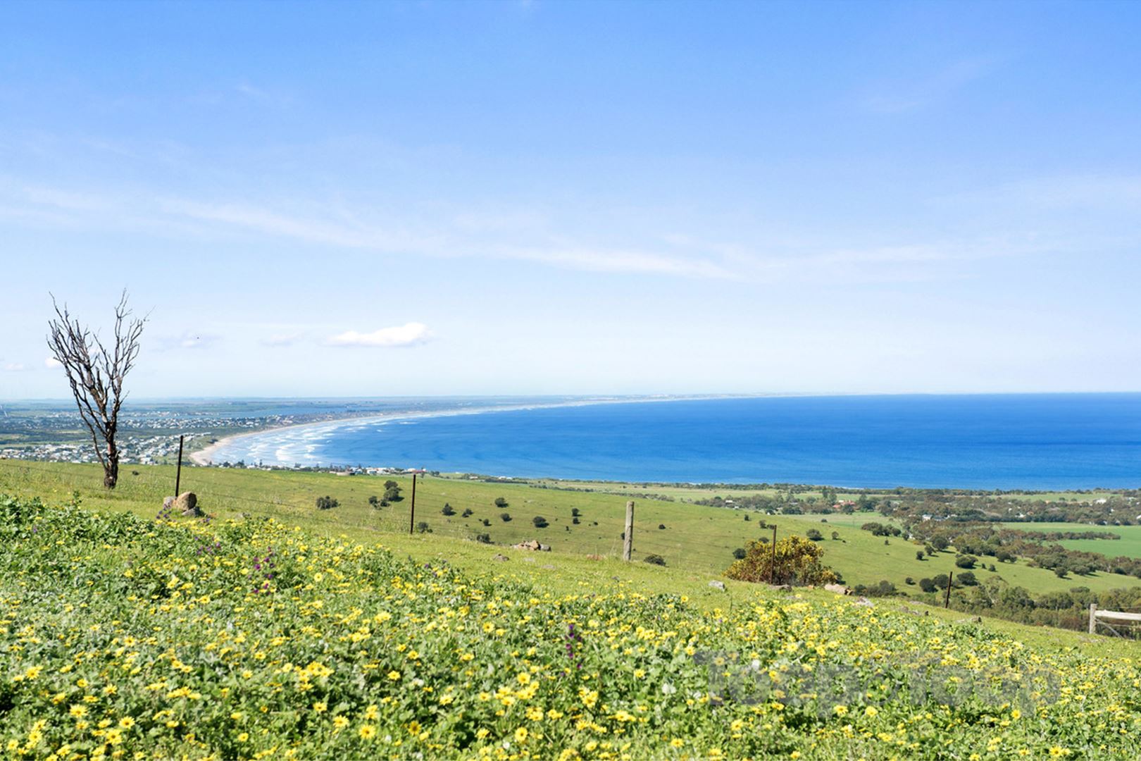 165 Heysen Road, Port Elliot SA 5212, Port Elliot - Thumbnail 3
