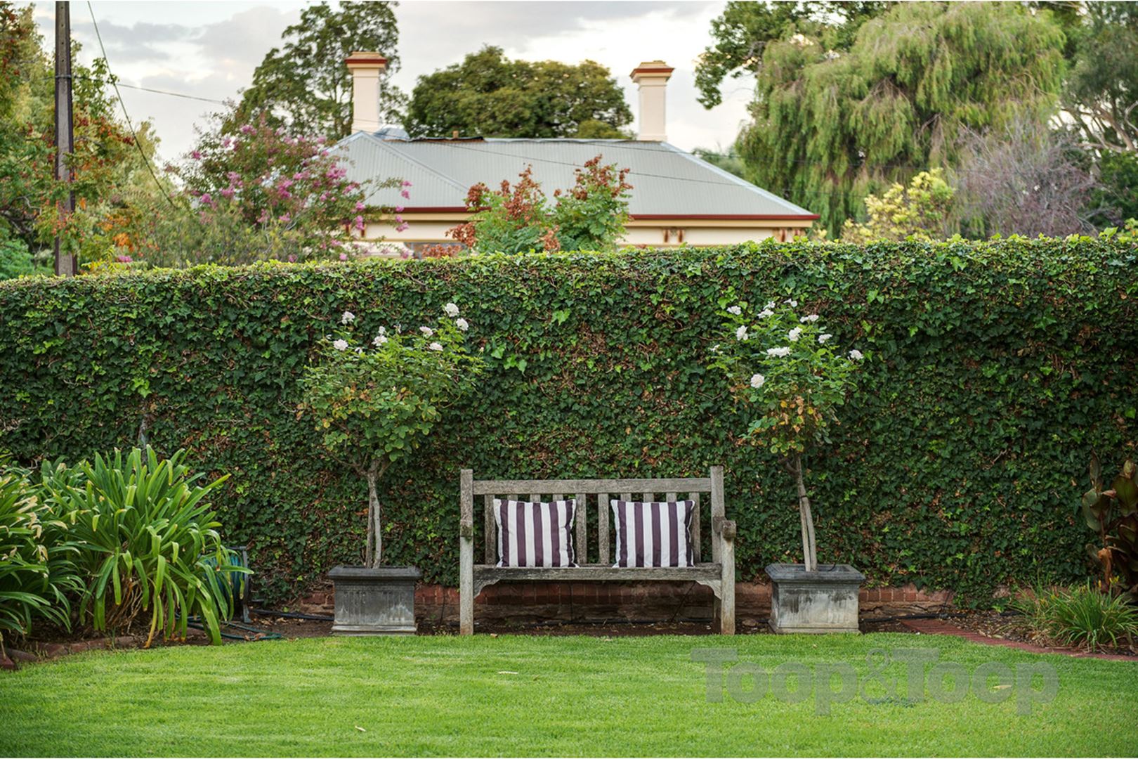18 Baliol Street, College Park SA 5069, College Park - Thumbnail 4