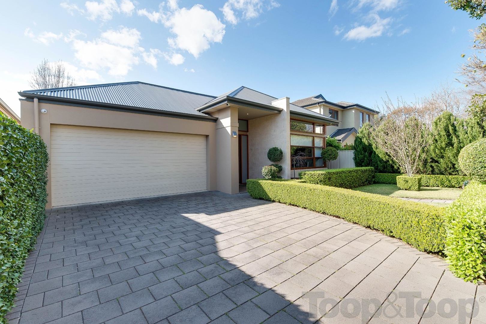43A Fife Avenue, Torrens Park SA 5062, Torrens Park - Thumbnail 4