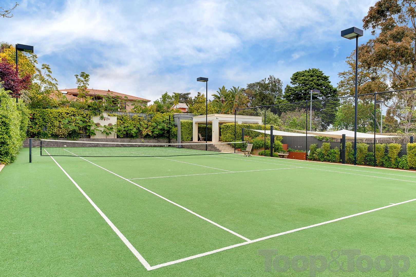13 Montrose Avenue, Netherby SA 5062, Netherby - Thumbnail 4