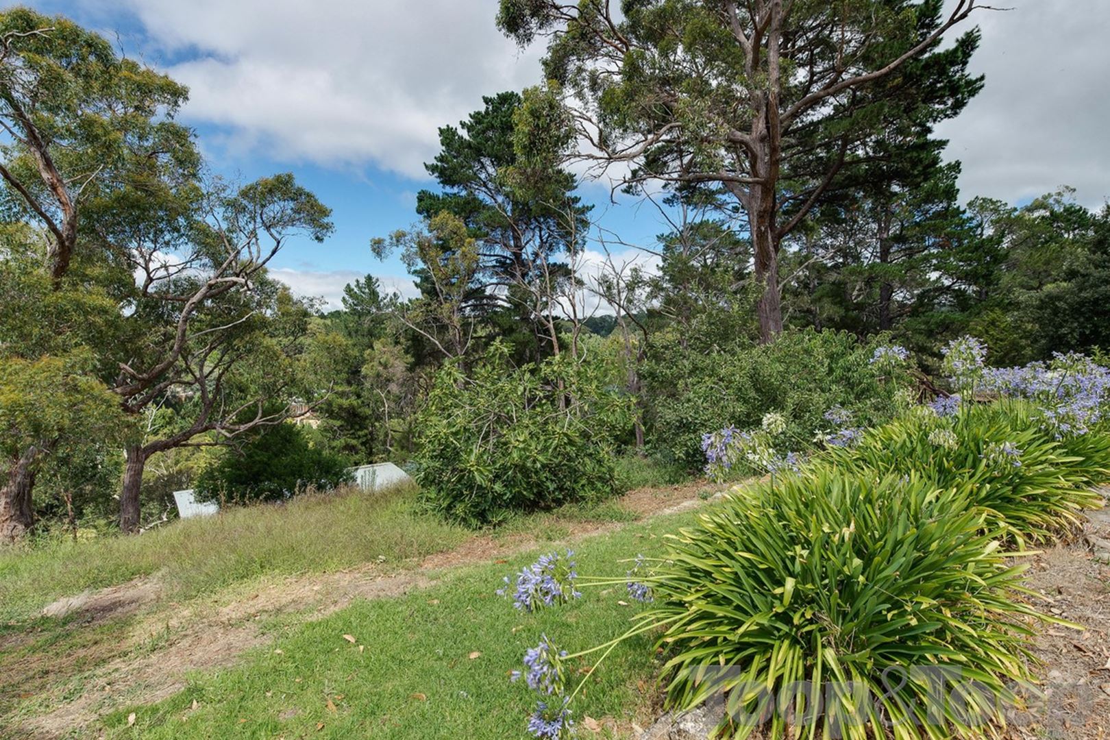 50 Strathalbyn Road, Aldgate SA 5154, Aldgate - Thumbnail 8
