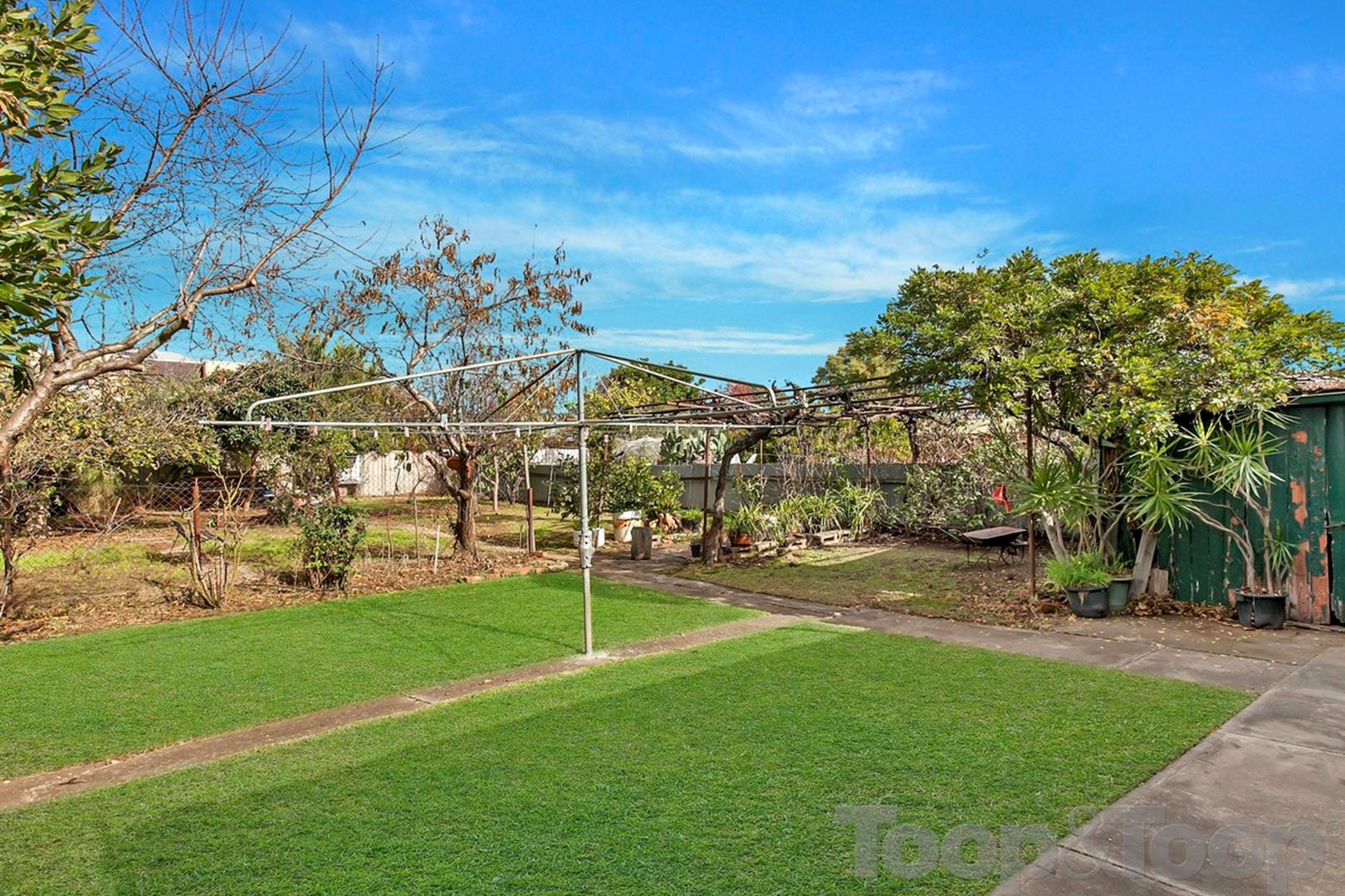 33 Robsart Street, Parkside SA 5063, Parkside - Thumbnail 4