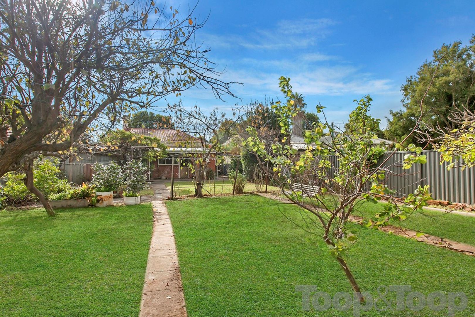 33 Robsart Street, Parkside SA 5063, Parkside - Thumbnail 3