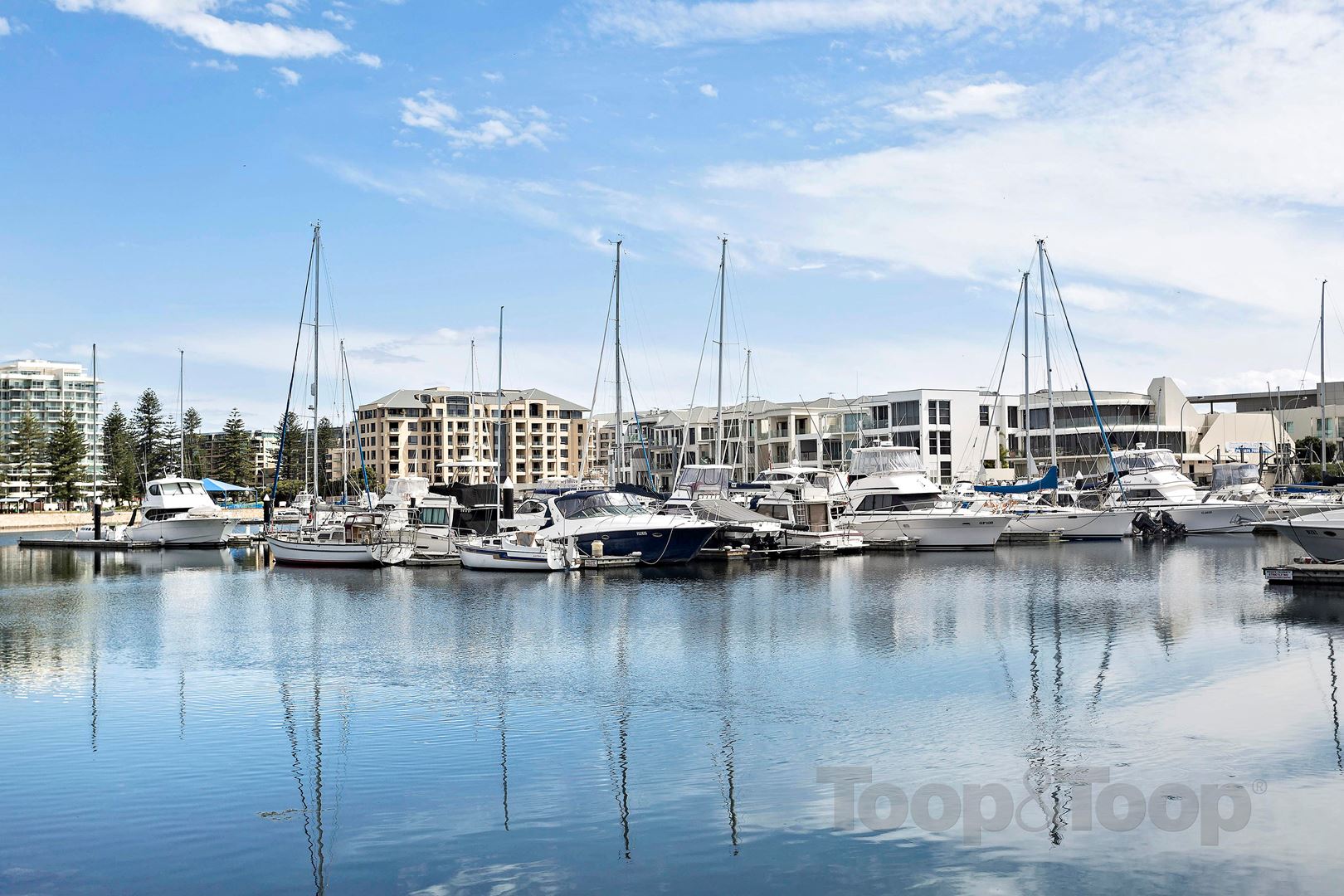 52 Adelphi Crescent, Glenelg North SA 5045, Glenelg North - Thumbnail 6