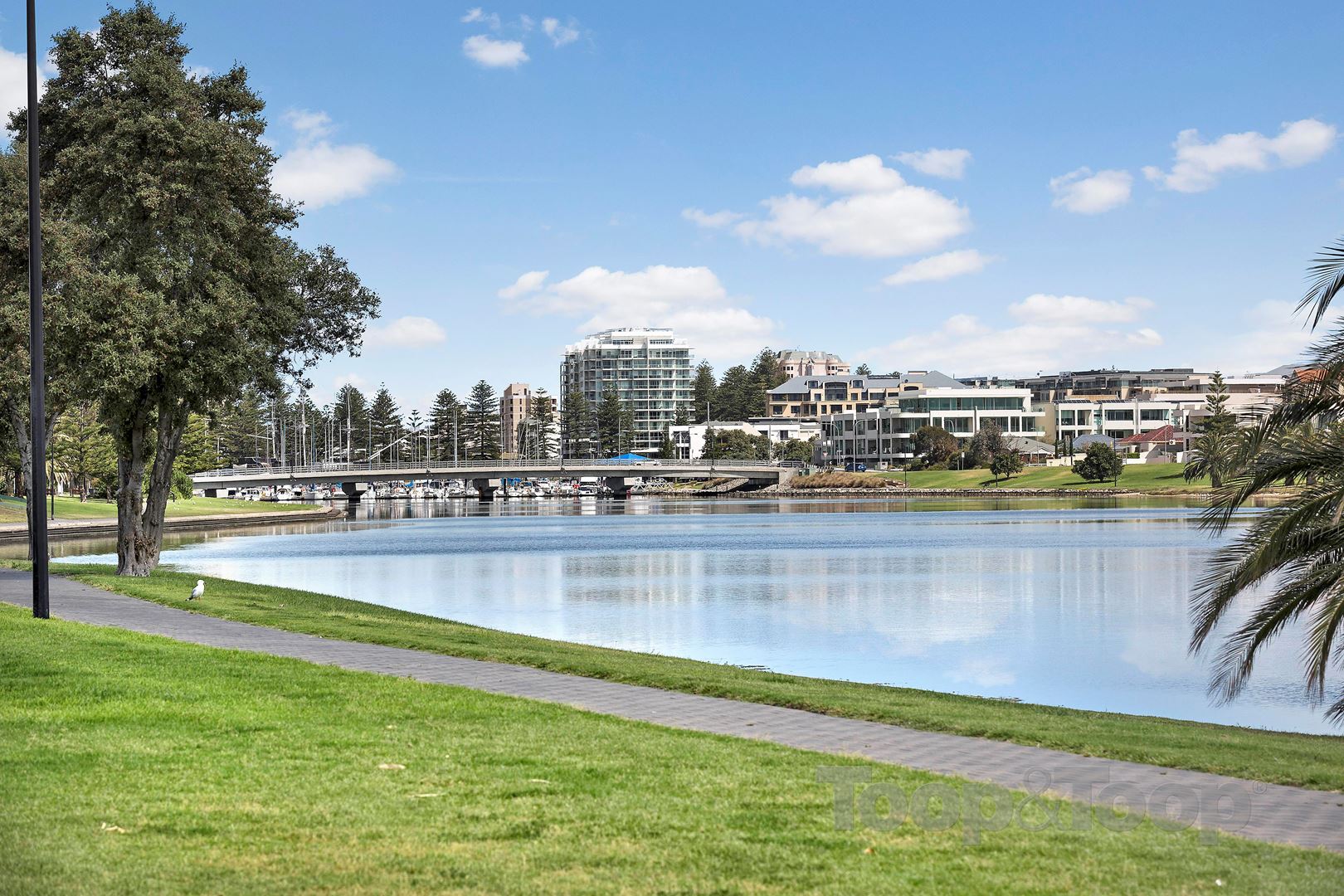 52 Adelphi Crescent, Glenelg North SA 5045, Glenelg North - Thumbnail 5