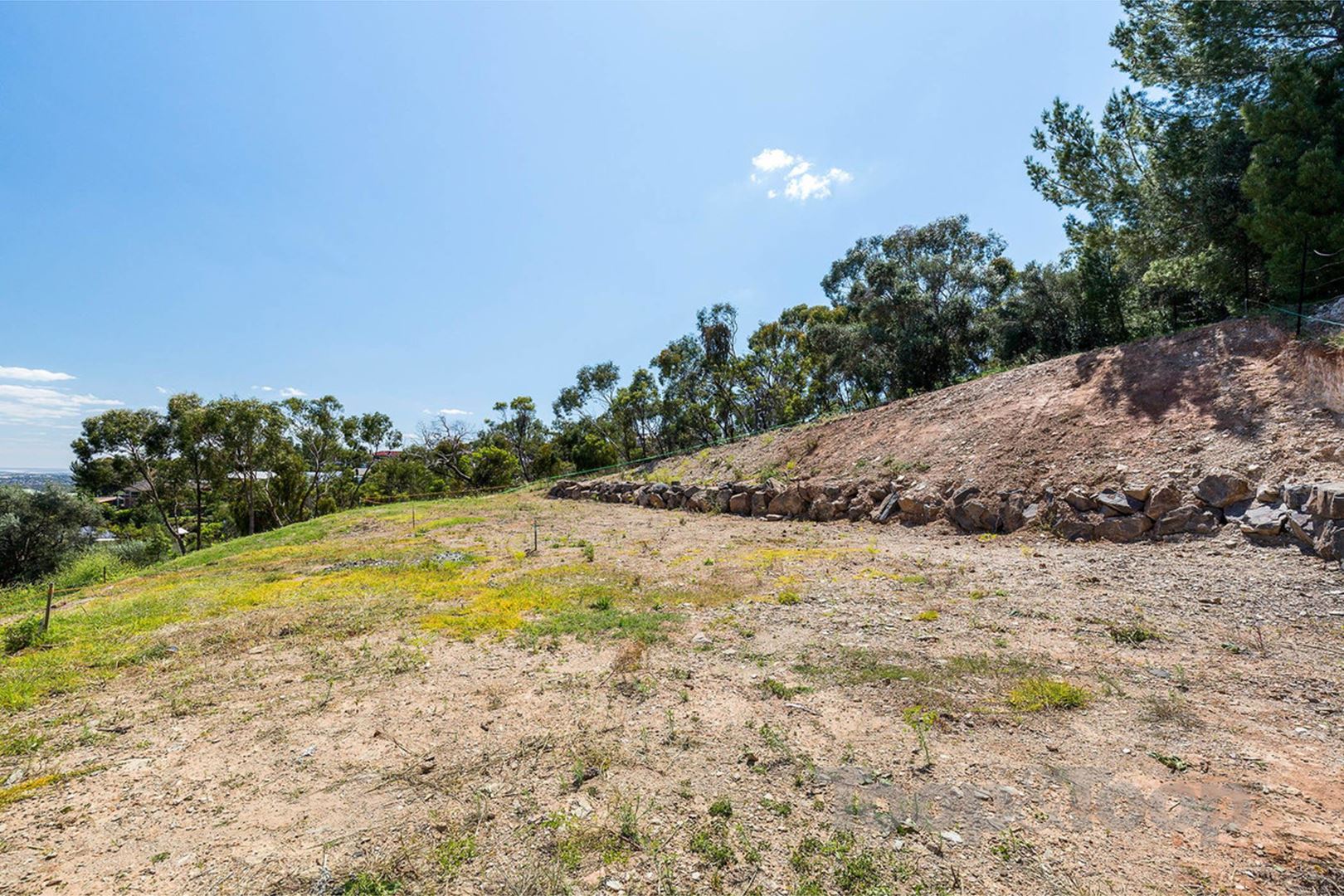 45A Wyfield Street, Wattle Park SA 5066, Wattle Park - Thumbnail 5