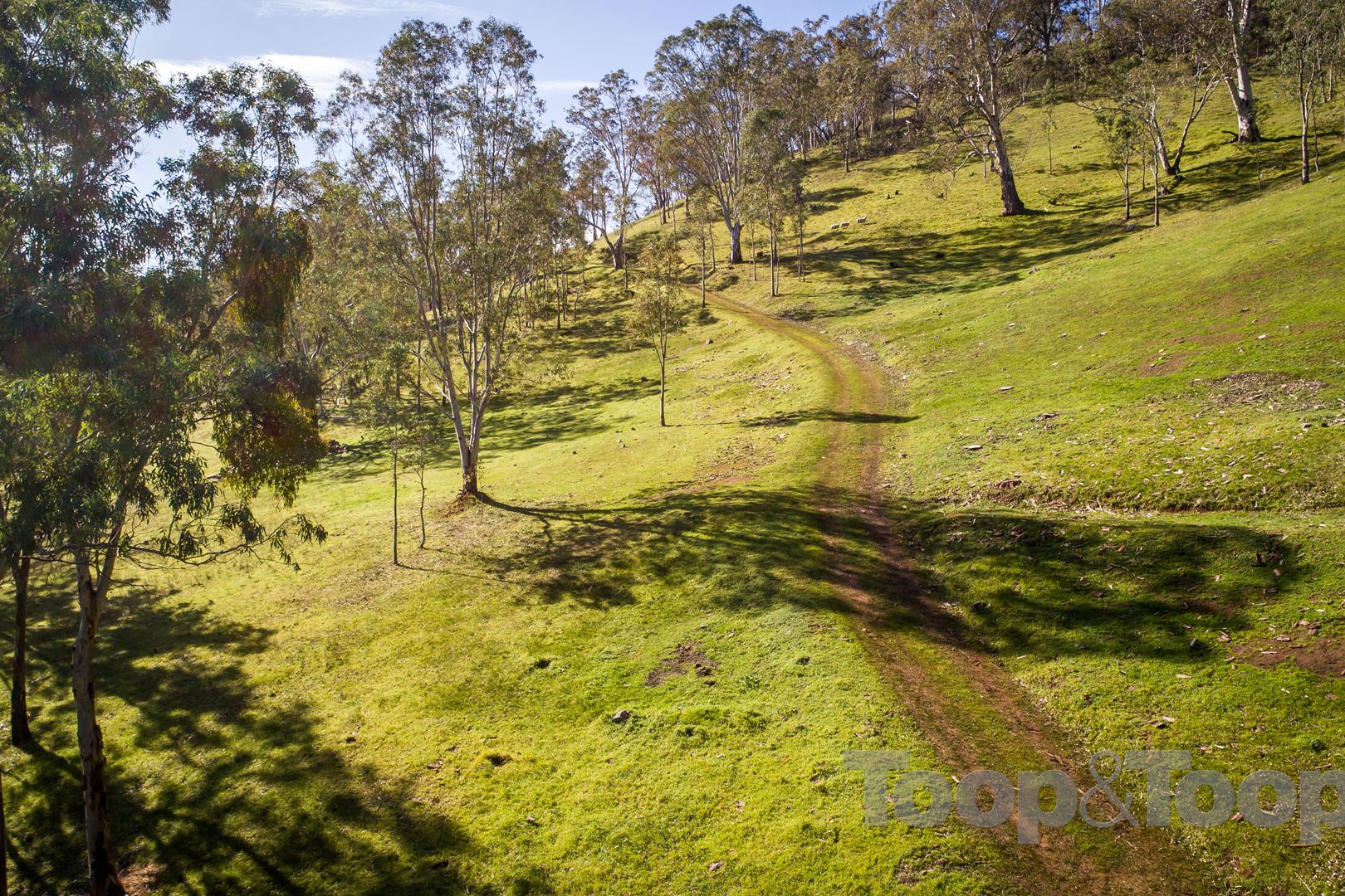 10 Valley Road, Montacute SA 5134, Montacute - Thumbnail 3