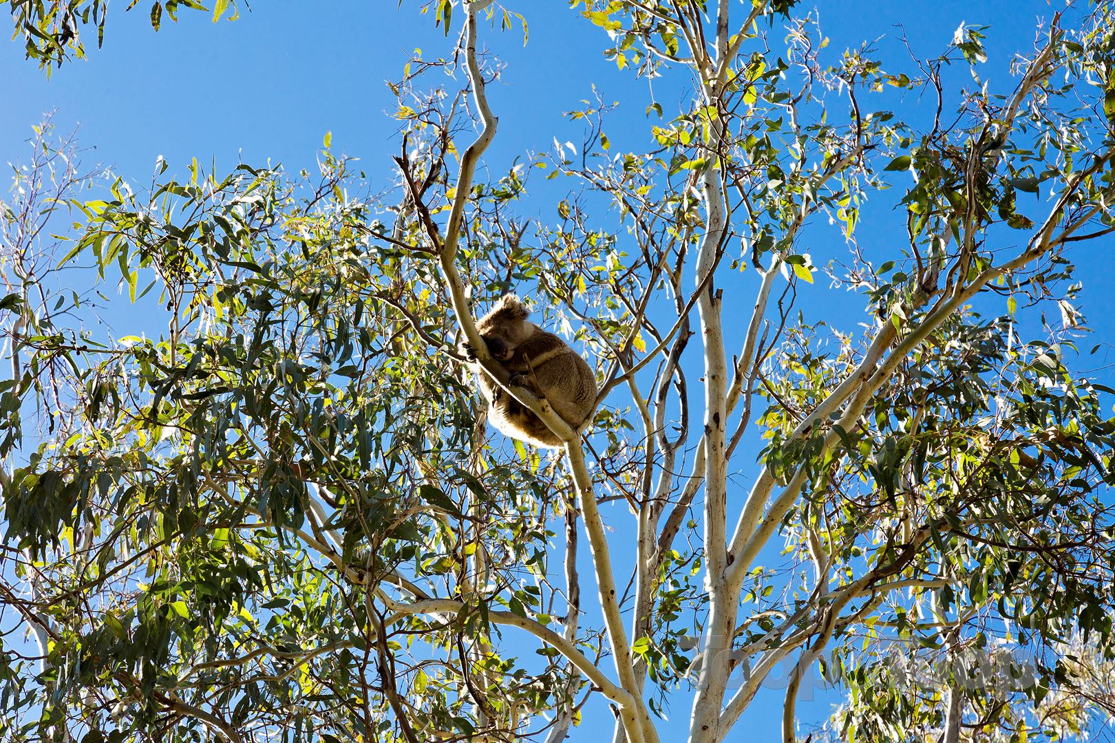 10 Valley Road, Montacute SA 5134, Montacute - Thumbnail 7