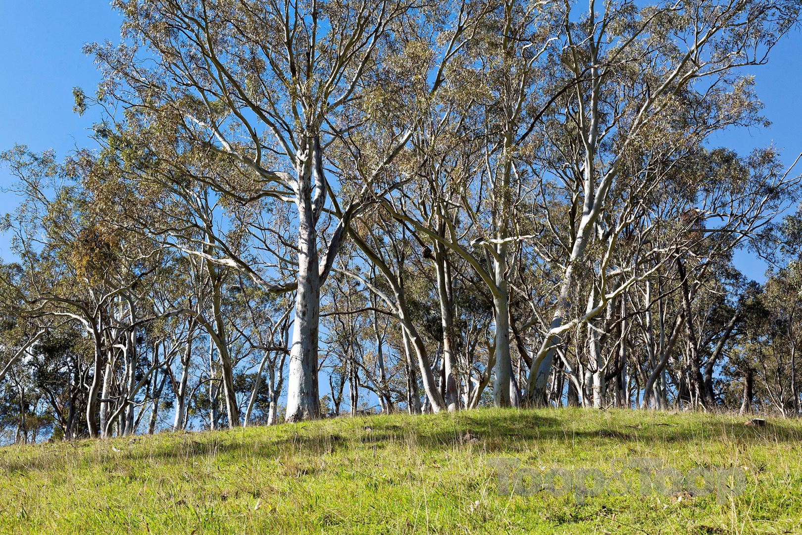 10 Valley Road, Montacute SA 5134, Montacute - Thumbnail 5