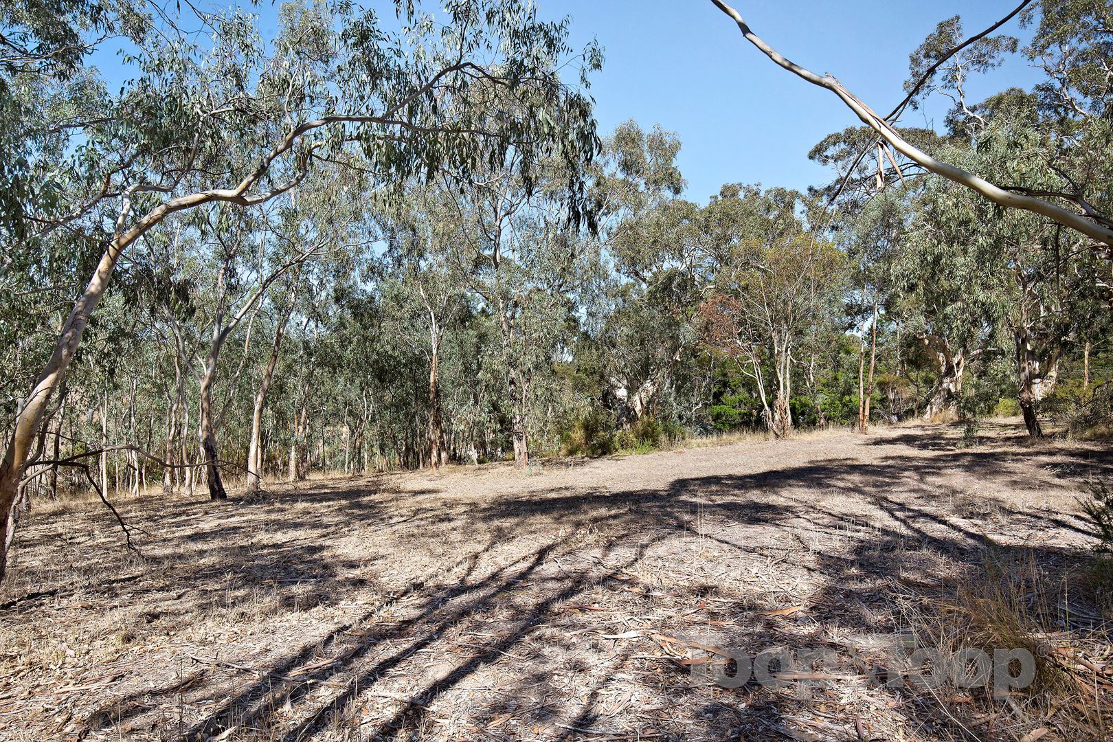 2 Wirrinilla Drive, Macclesfield SA 5153, Macclesfield - Thumbnail 3