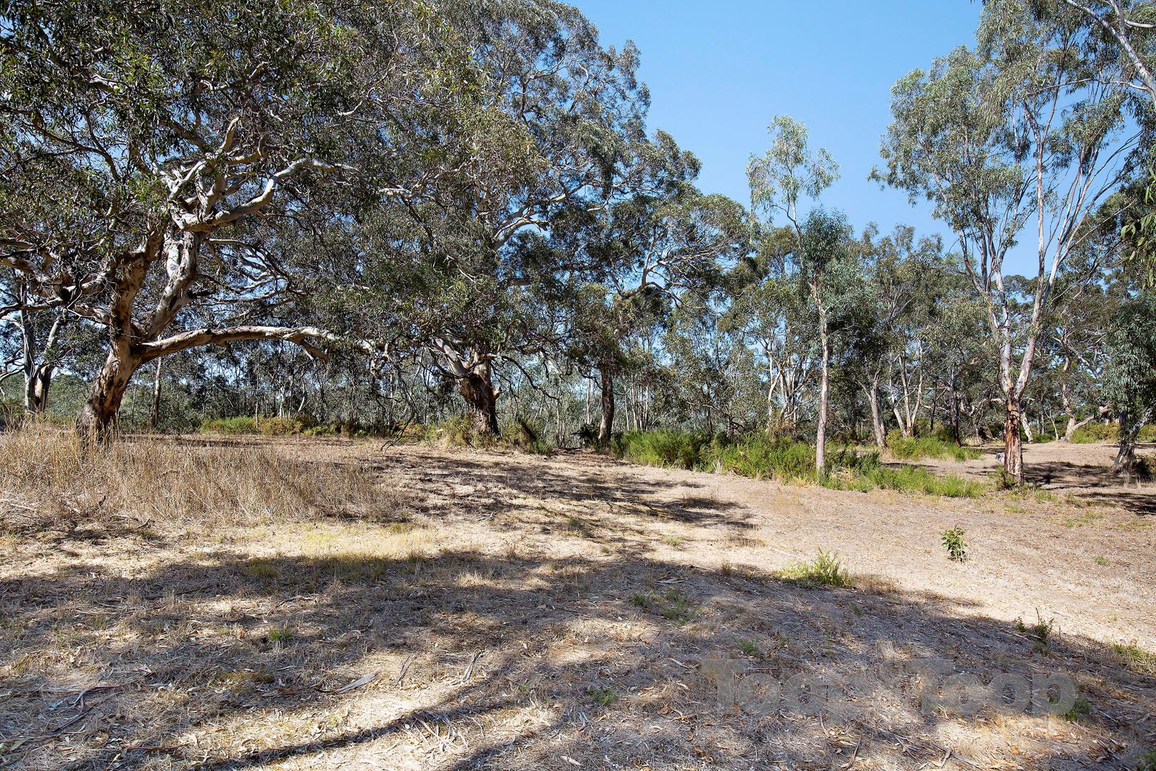 2 Wirrinilla Drive, Macclesfield SA 5153, Macclesfield - Thumbnail 4