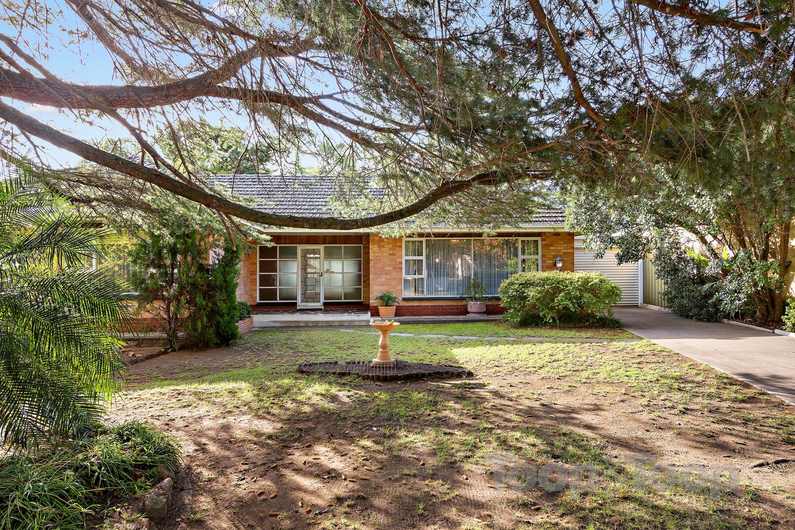 10 Lochness Avenue, Torrens Park SA 5062, Torrens Park - Thumbnail 3