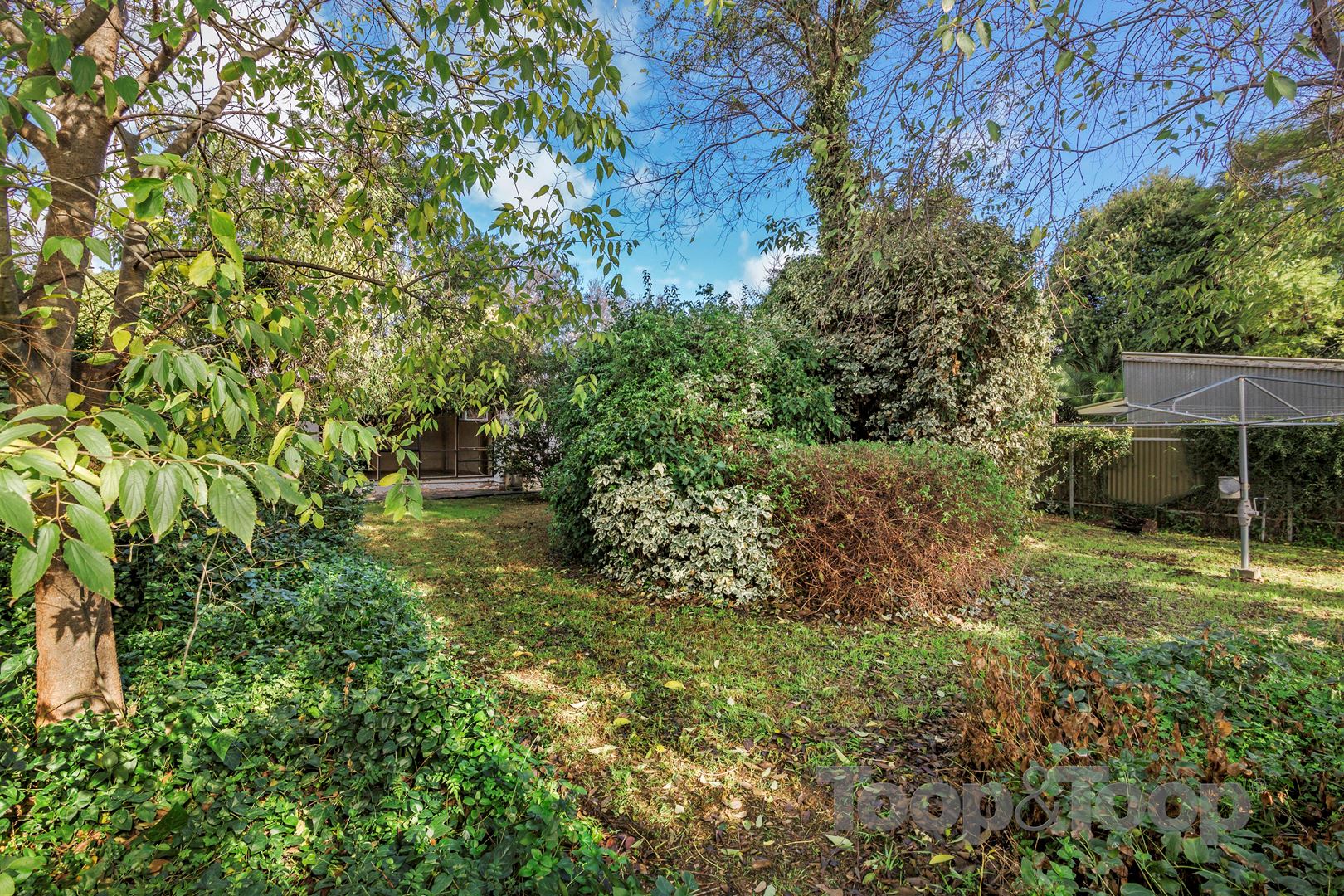 62 Cheltenham Street, Malvern SA 5061, Malvern - Thumbnail 5