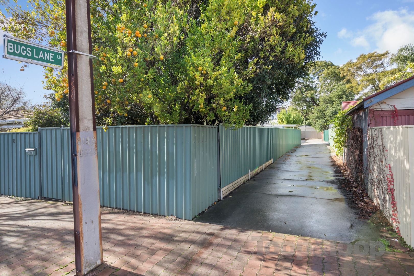 62 Cheltenham Street, Malvern SA 5061, Malvern - Thumbnail 8