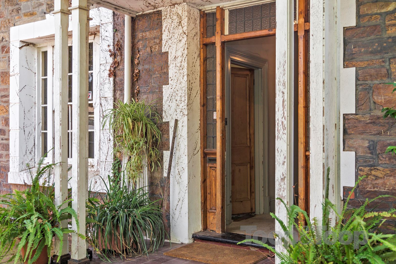 62 Cheltenham Street, Malvern SA 5061, Malvern - Thumbnail 7