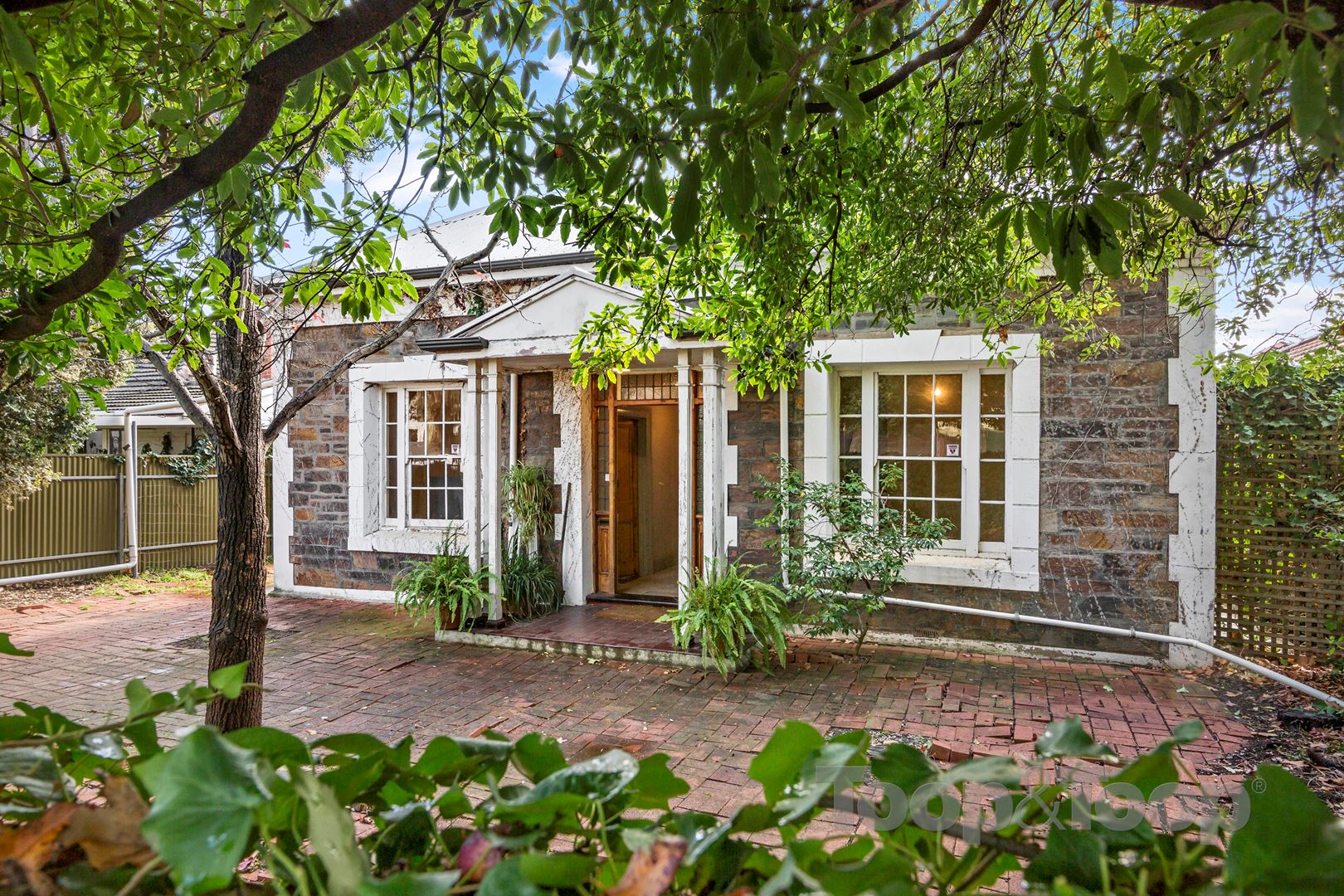 62 Cheltenham Street, Malvern SA 5061, Malvern - Thumbnail 6