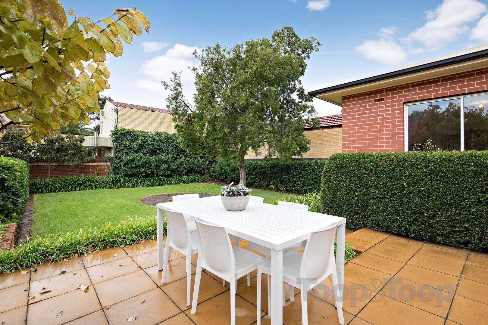 141 Swaine Avenue, Toorak Gardens SA 5065, Toorak Gardens - Thumbnail 7