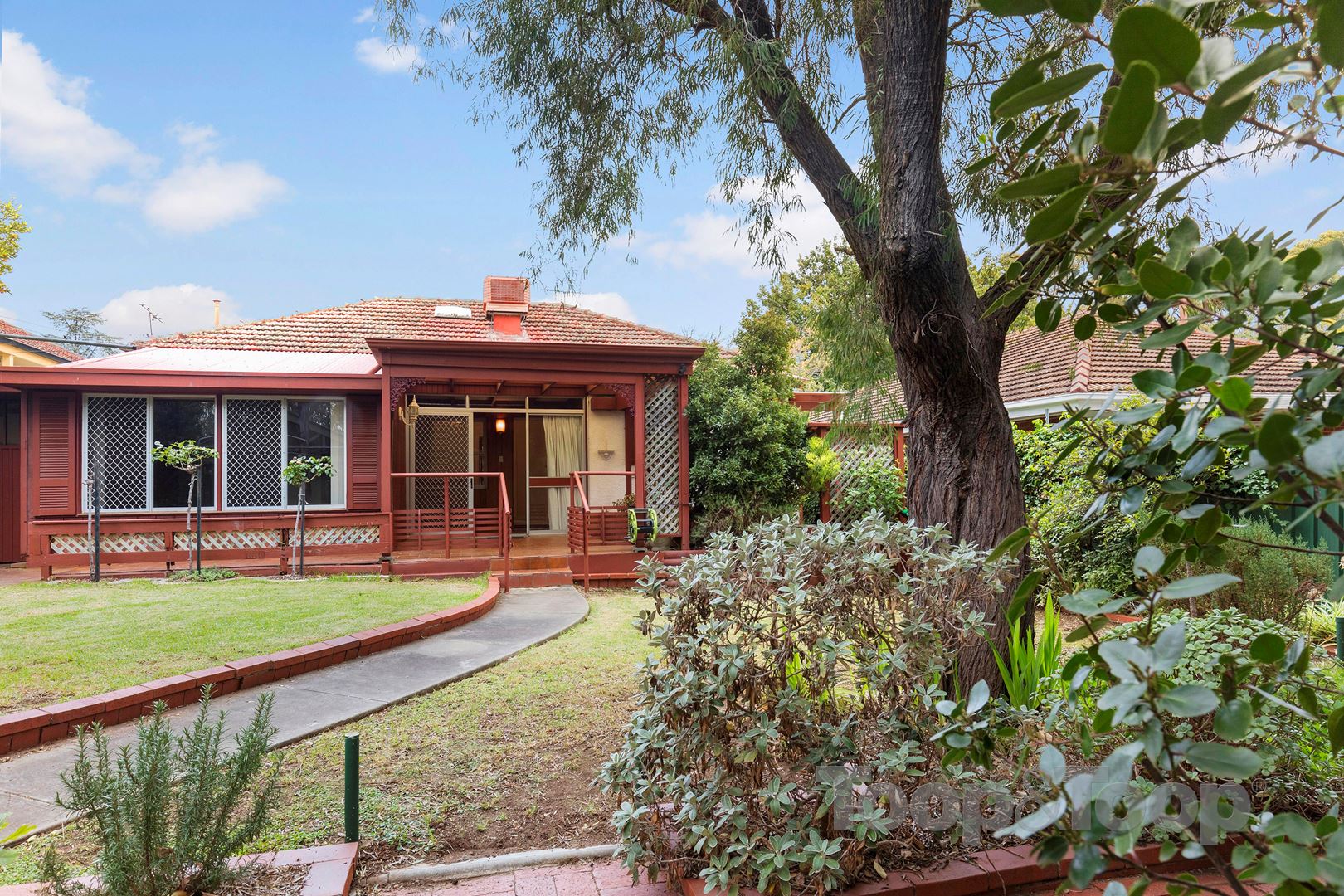 25 Park Avenue, Rosslyn Park SA 5072, Rosslyn Park - Thumbnail 2