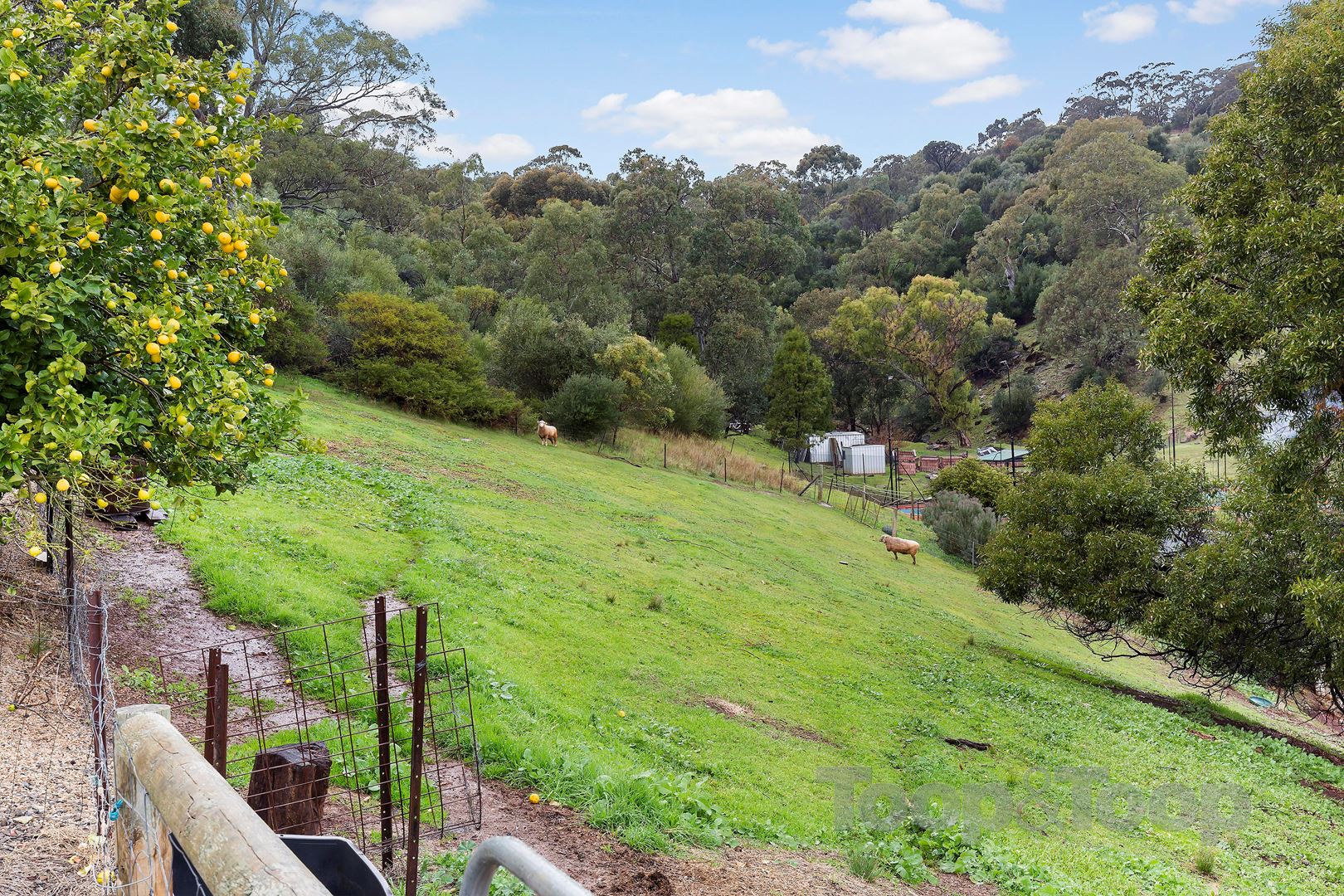 59 McHarg Road, Happy Valley SA 5159, Happy Valley - Thumbnail 3