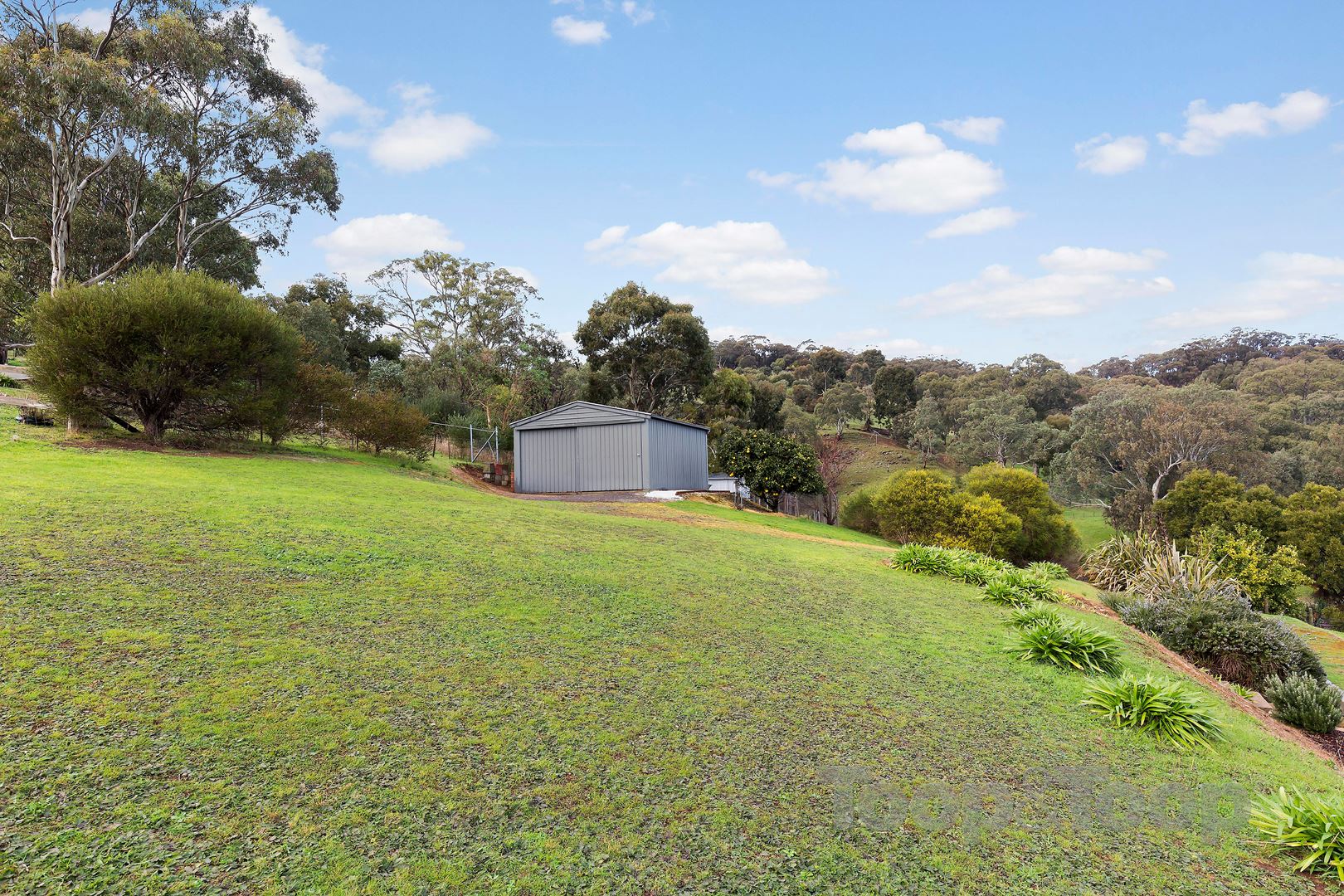 59 McHarg Road, Happy Valley SA 5159, Happy Valley - Thumbnail 5