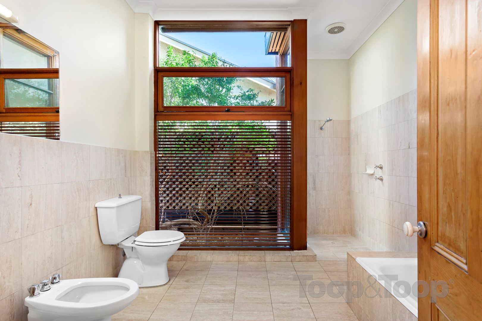 20 Rosetta Street, Collinswood SA 5081, Collinswood - Thumbnail 7