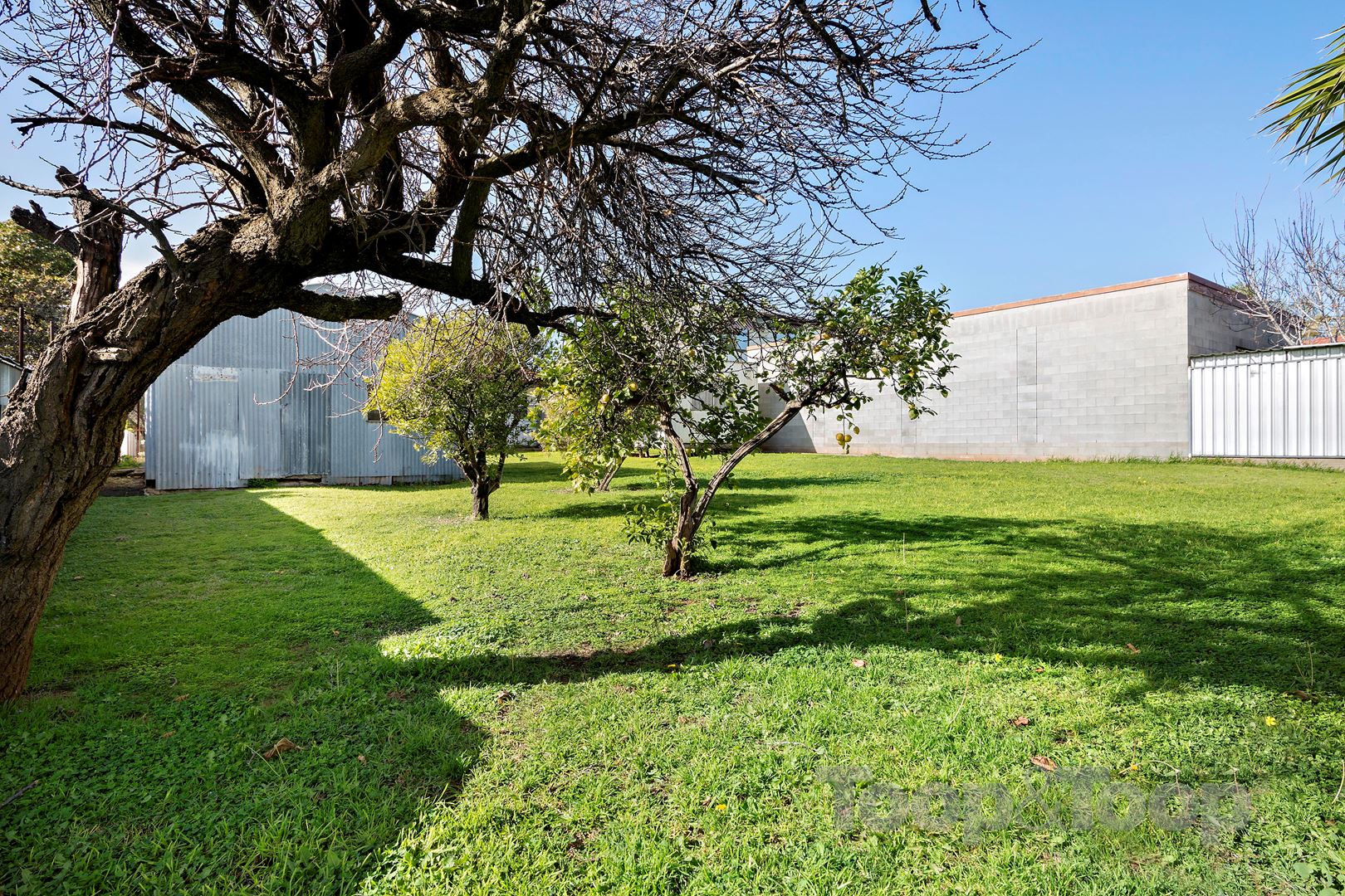 10 Eyre Street, Seaview Downs SA 5049, Seaview Downs - Thumbnail 8