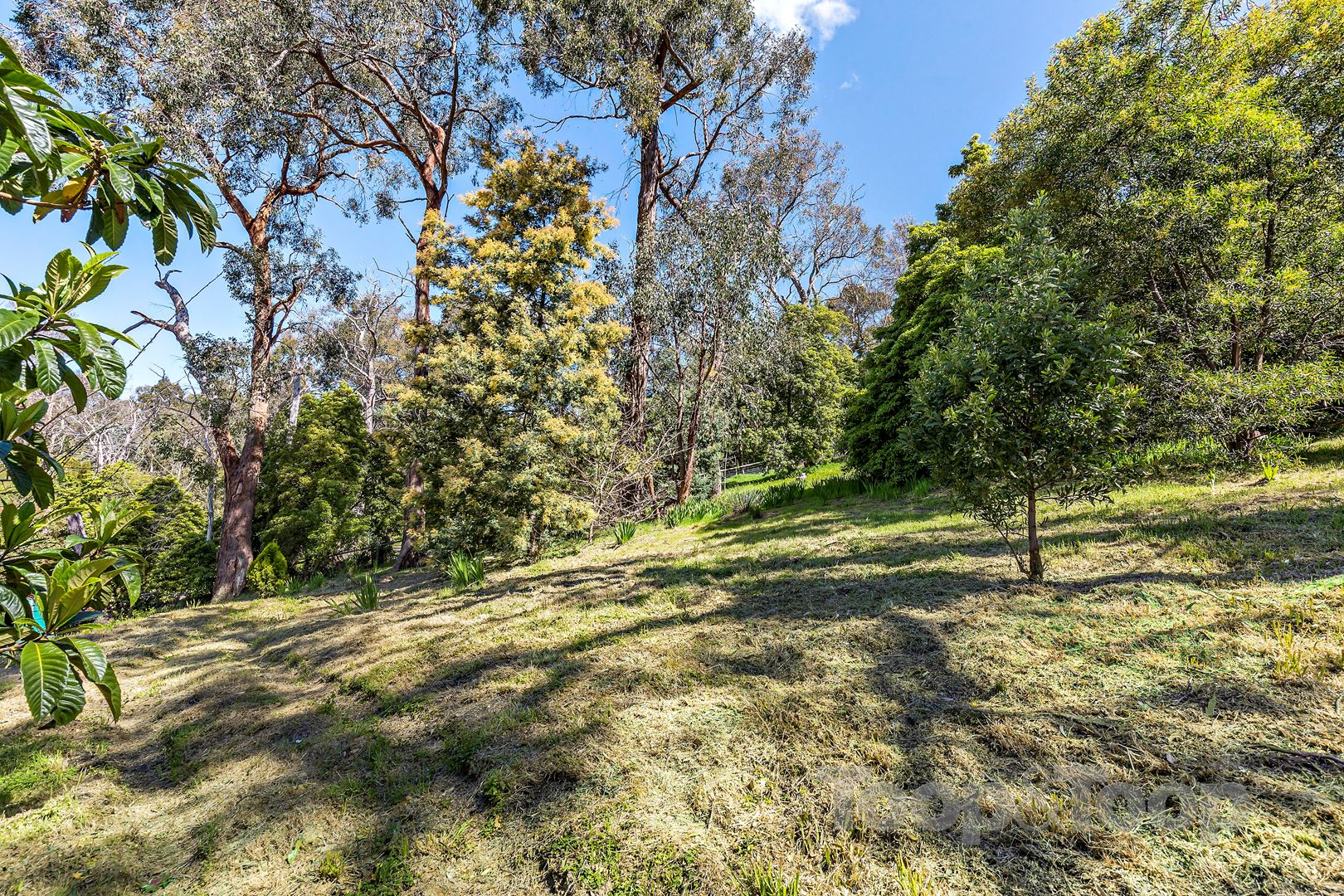 22 Beadnell Crescent, Bridgewater SA 5155, Bridgewater - Thumbnail 2