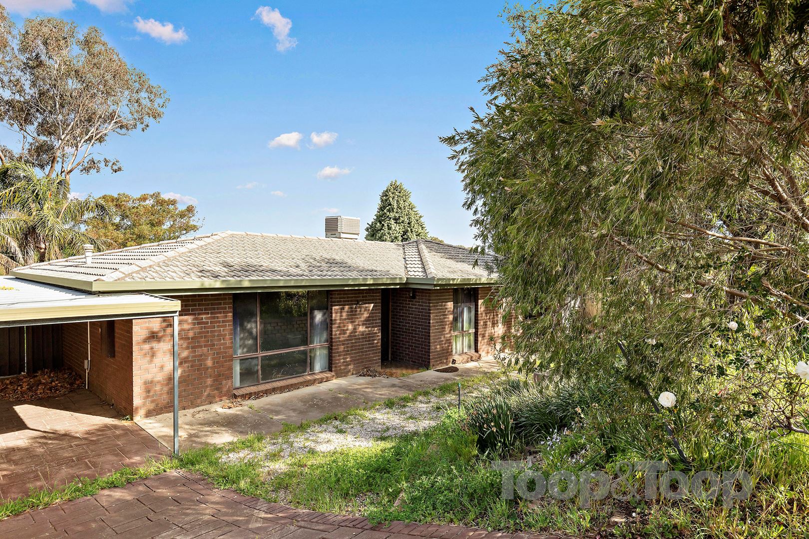 29 Palomino Parade, Wynn Vale SA 5127, Wynn Vale - Thumbnail 2