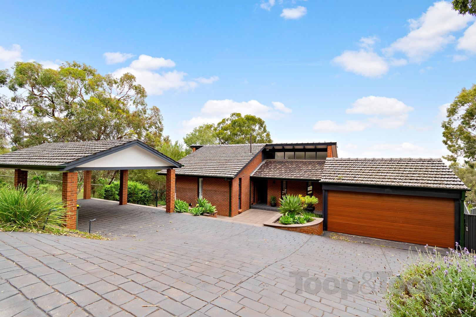 78 Birksgate Drive, Urrbrae SA 5064, Urrbrae - Thumbnail 3
