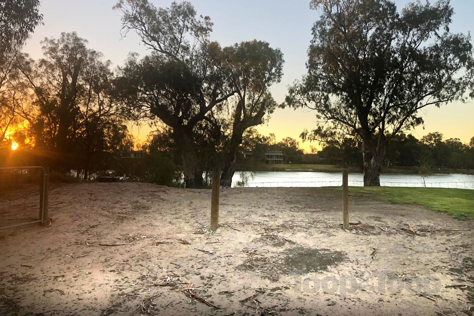 46 Echidna Avenue, Idyll Acres, Morgan SA 5320, Murbko - Thumbnail 7