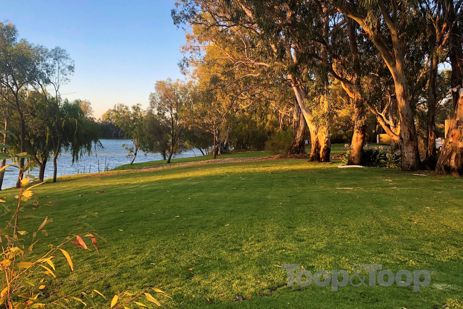 46 Echidna Avenue, Idyll Acres, Morgan SA 5320, Murbko - Thumbnail 4