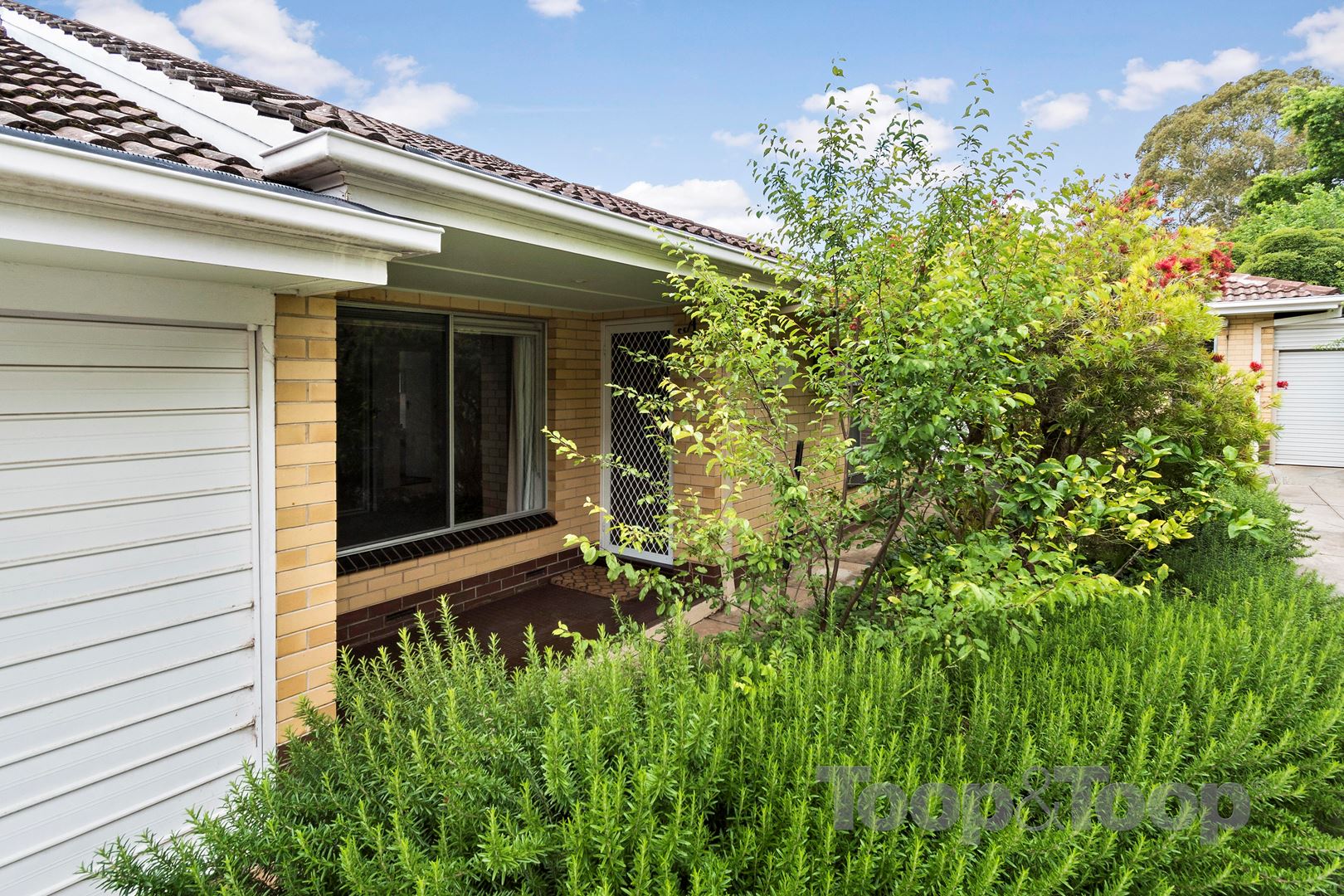 3 / 7 Birdwood Street, Netherby SA 5062, Netherby - Thumbnail 2