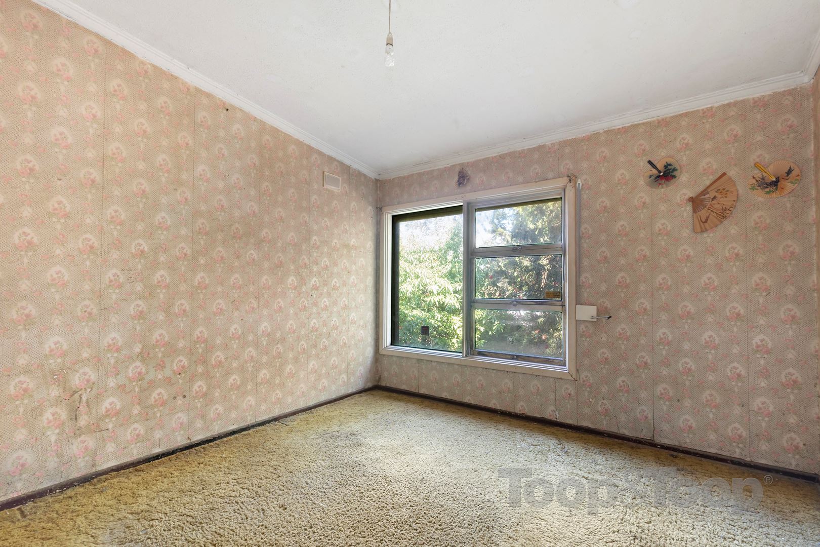 4 Stapleton Street, Davoren Park SA 5113, Davoren Park - Thumbnail 6