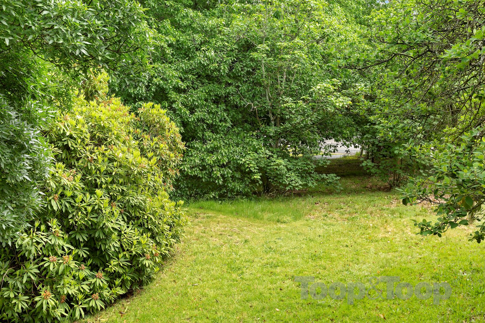 2a Ashenden Road, Aldgate SA 5154, Aldgate - Thumbnail 5