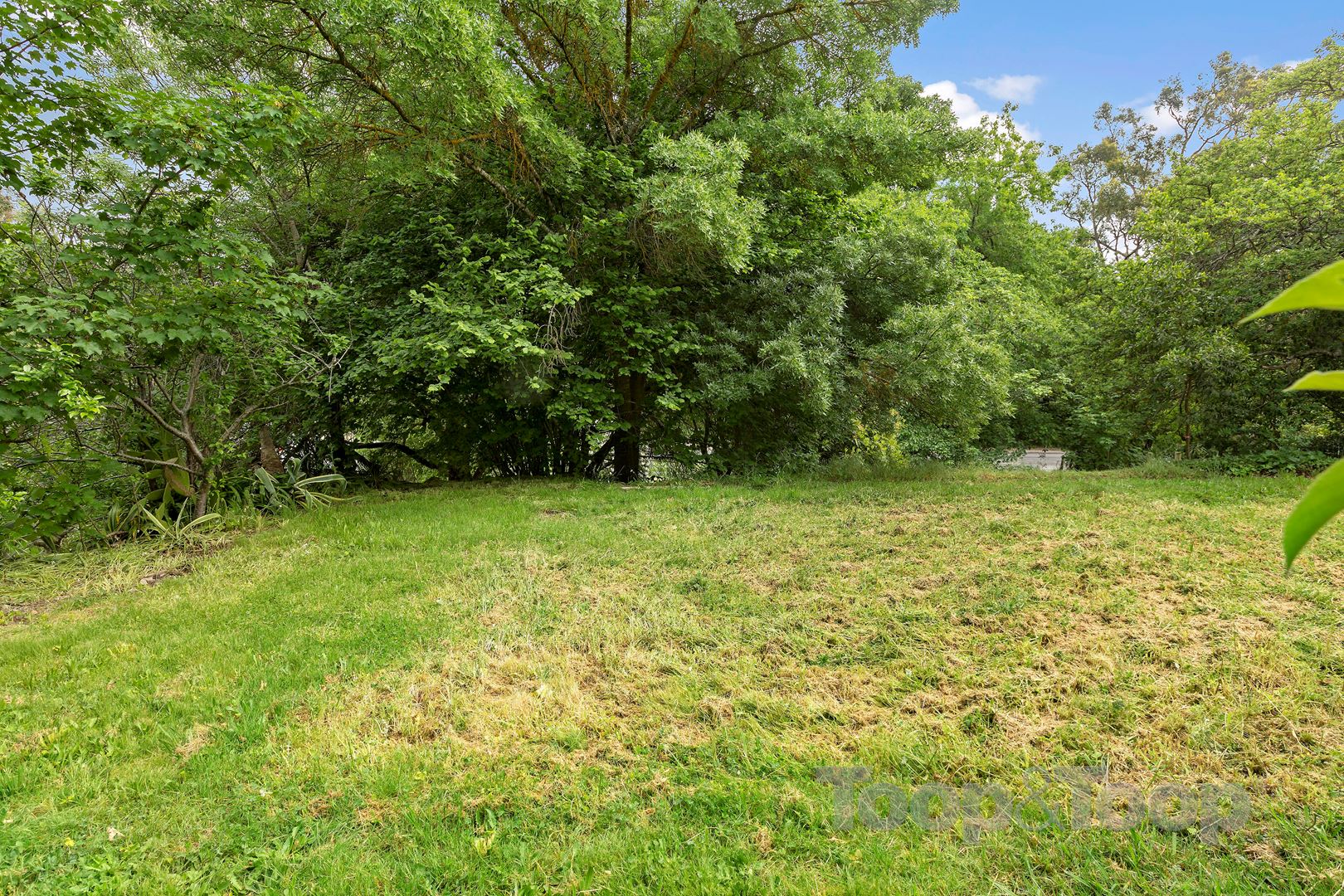 2a Ashenden Road, Aldgate SA 5154, Aldgate - Thumbnail 6