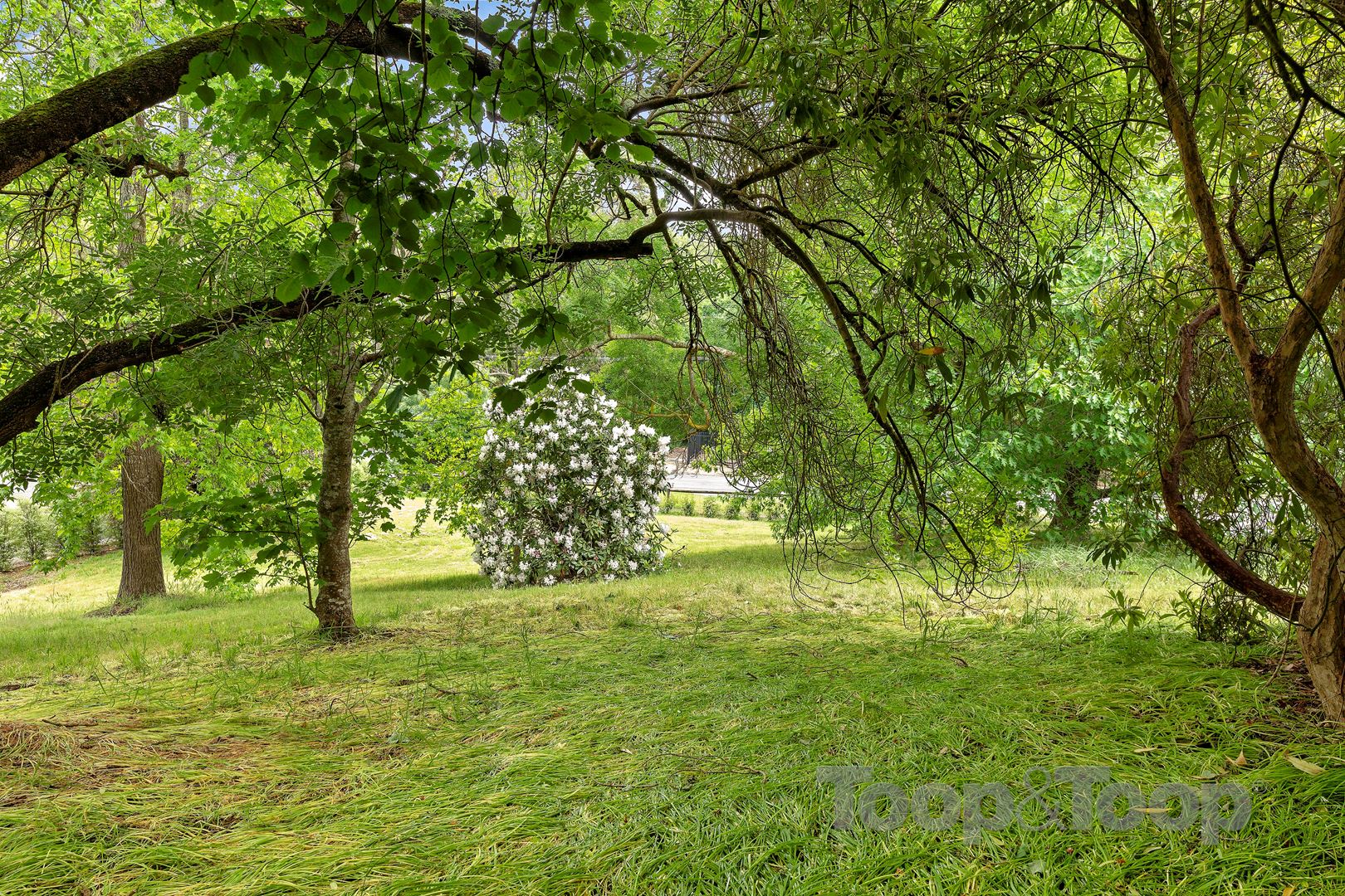 2a Ashenden Road, Aldgate SA 5154, Aldgate - Thumbnail 7