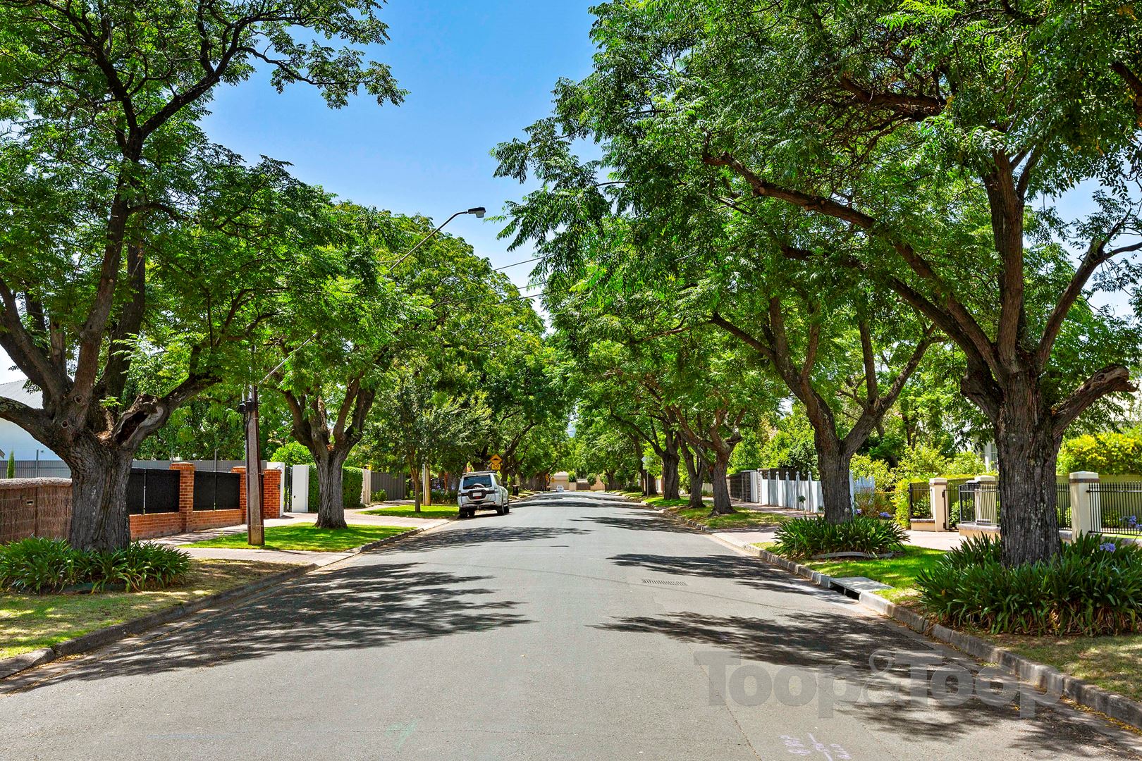 108 Swaine Avenue, Toorak Gardens SA 5065, Toorak Gardens - Thumbnail 8