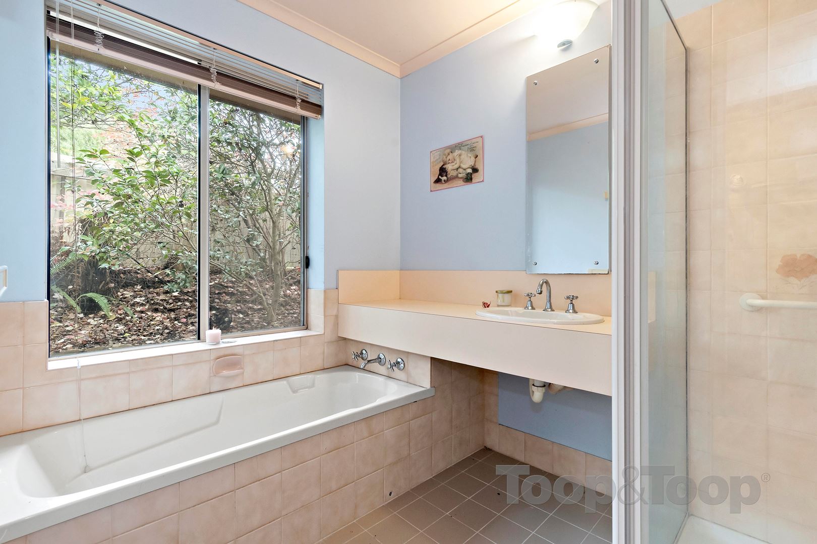 6 Humber Court, Happy Valley SA 5159, Happy Valley - Thumbnail 6