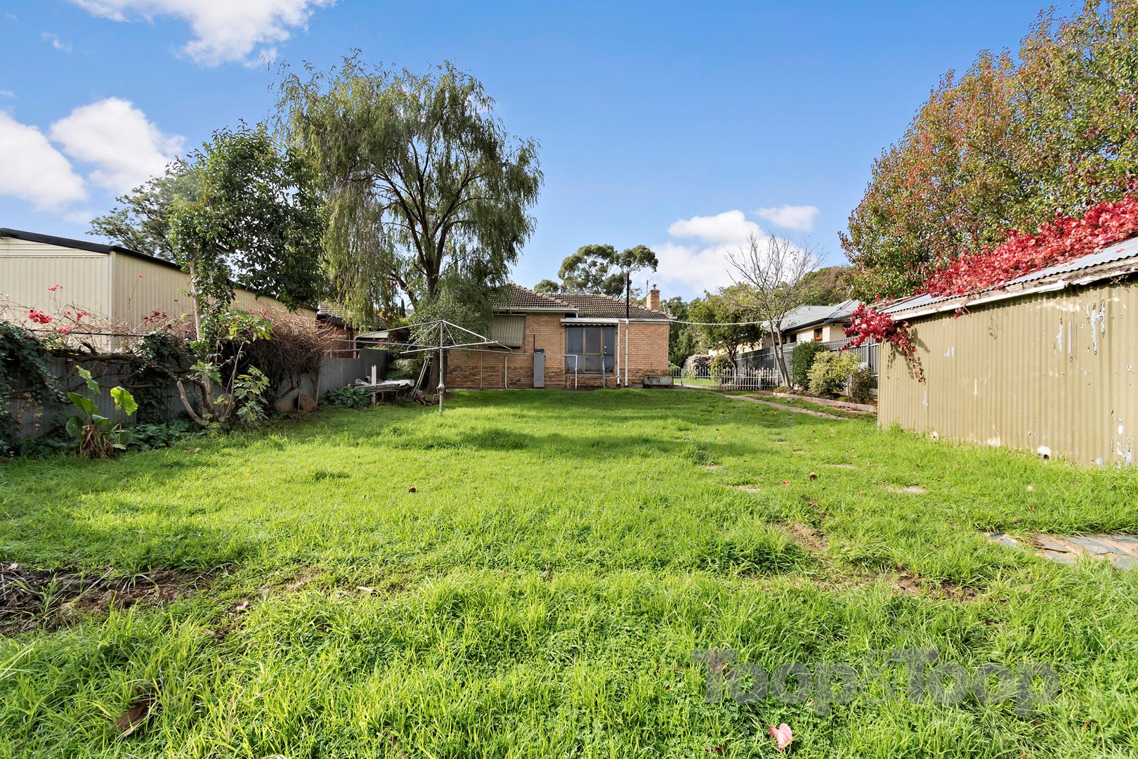 25 Gordon Terrace, Rosslyn Park SA 5072, Rosslyn Park - Thumbnail 5
