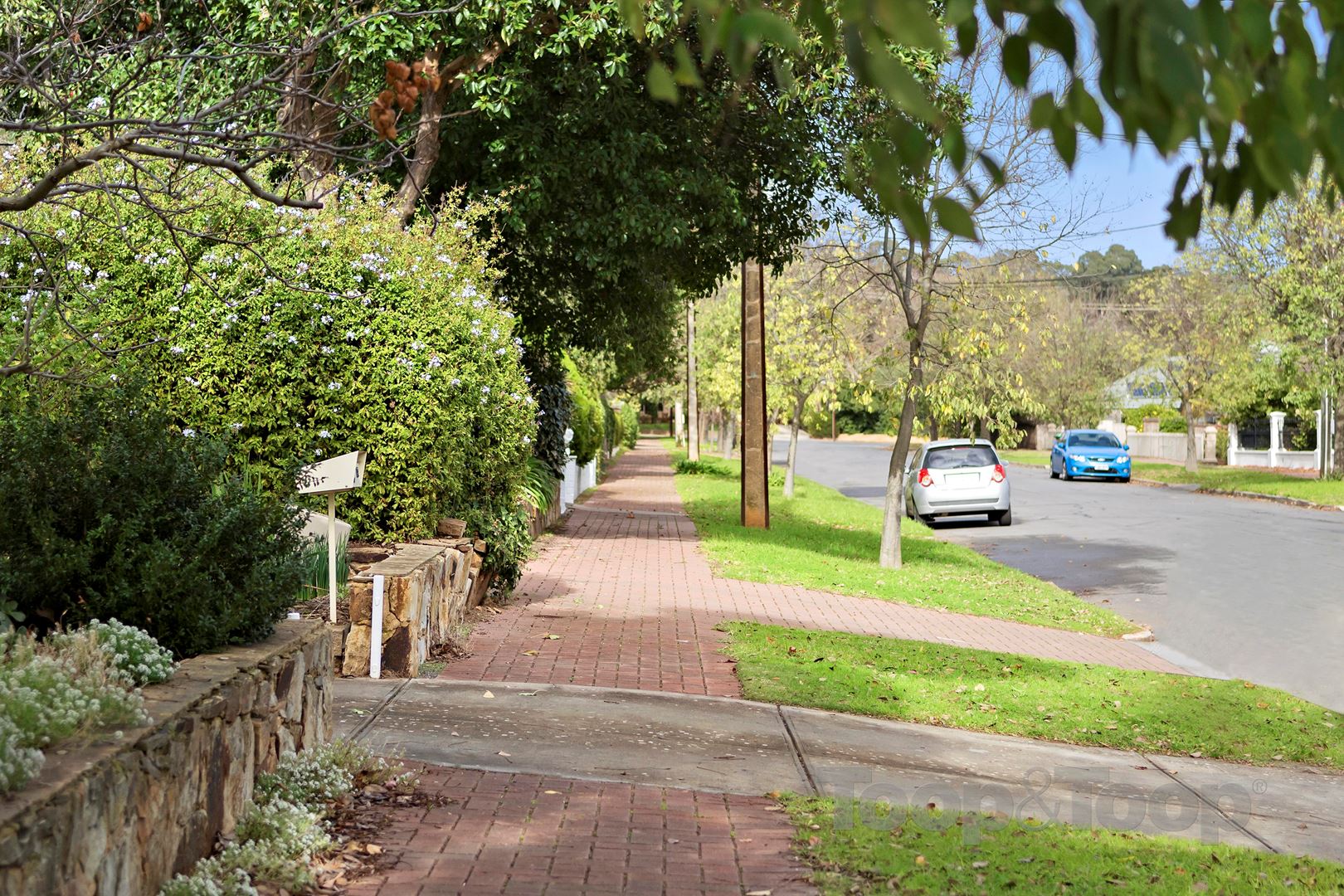 25 Gordon Terrace, Rosslyn Park SA 5072, Rosslyn Park - Thumbnail 3