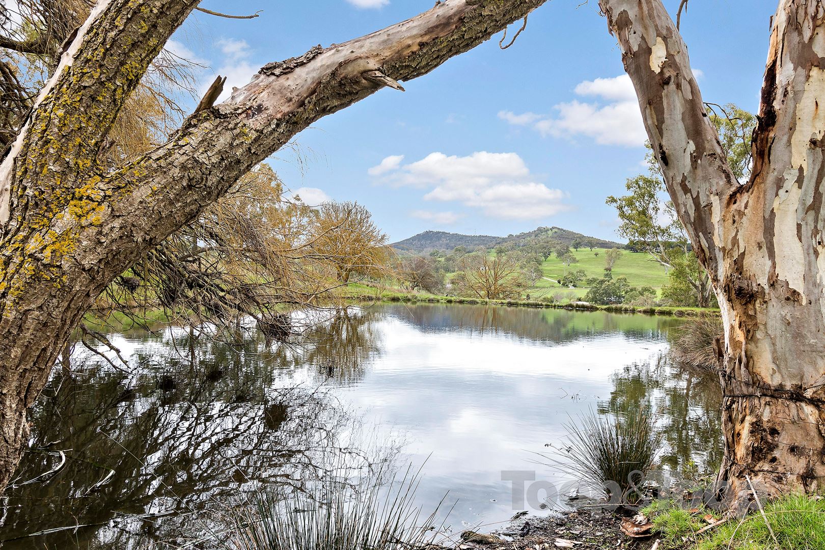 47 Harper Road, Mount Barker Springs SA 5251, Mount Barker Springs - Thumbnail 3