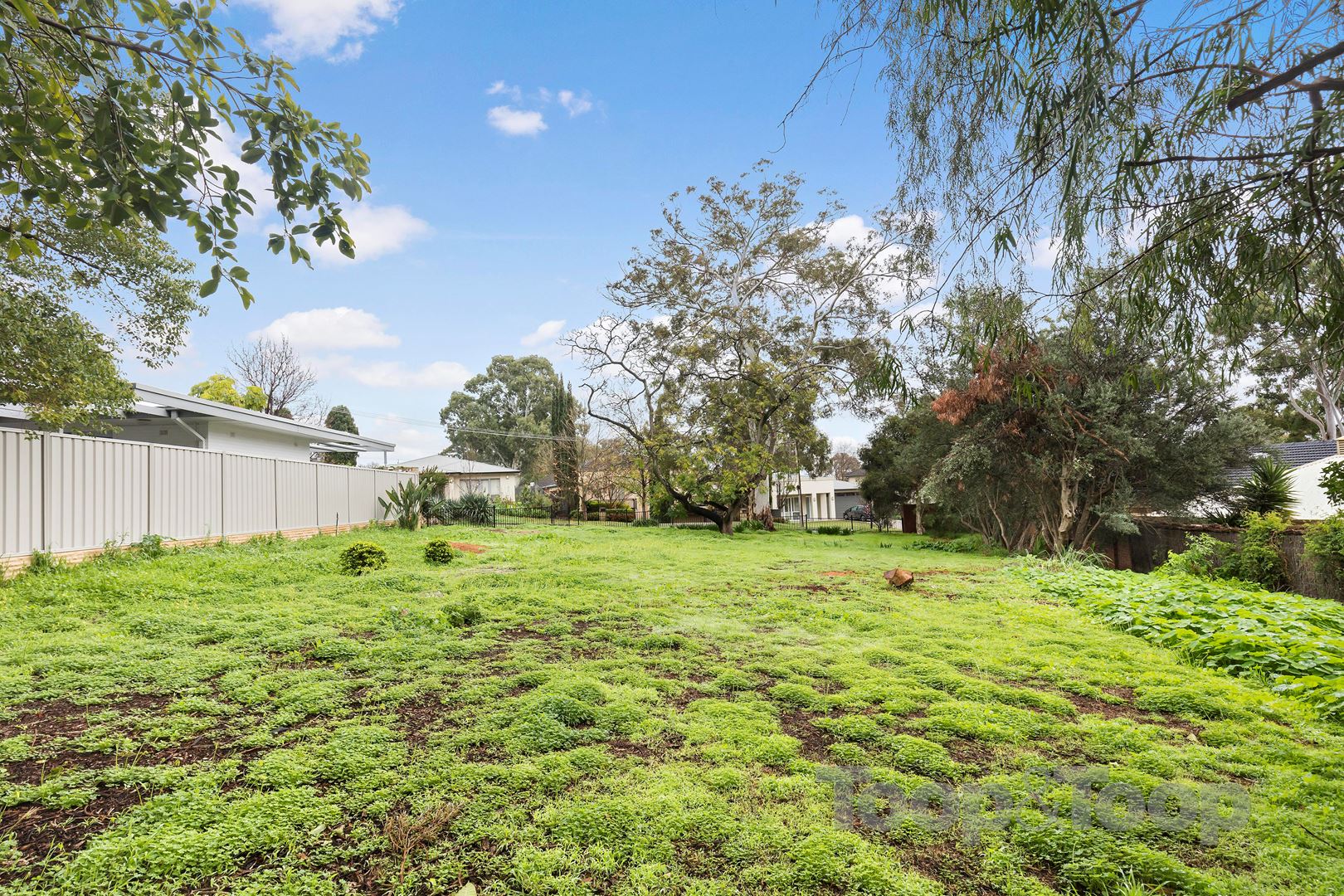 Lot 102 Finniss Terrace, Burnside SA 5066, Burnside - Thumbnail 6