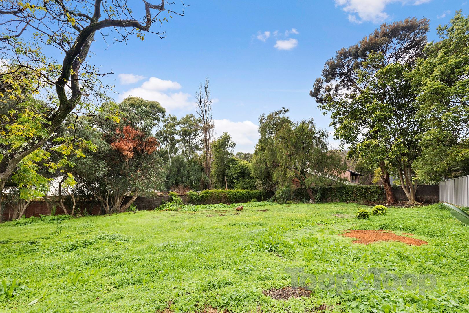 Lot 102 Finniss Terrace, Burnside SA 5066, Burnside - Thumbnail 7