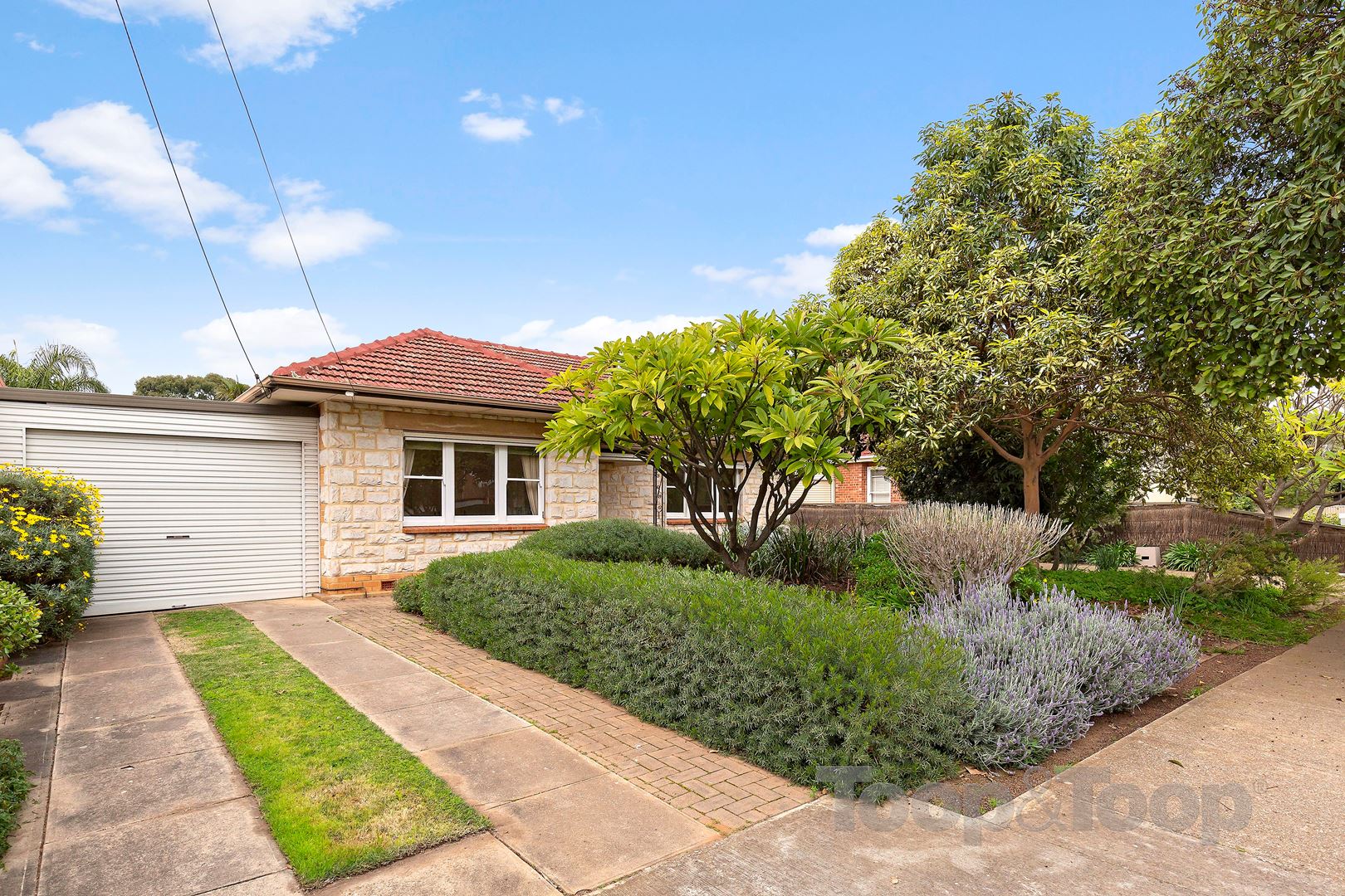 133 Fifth Avenue, Royston Park SA 5070, Royston Park - Thumbnail 2