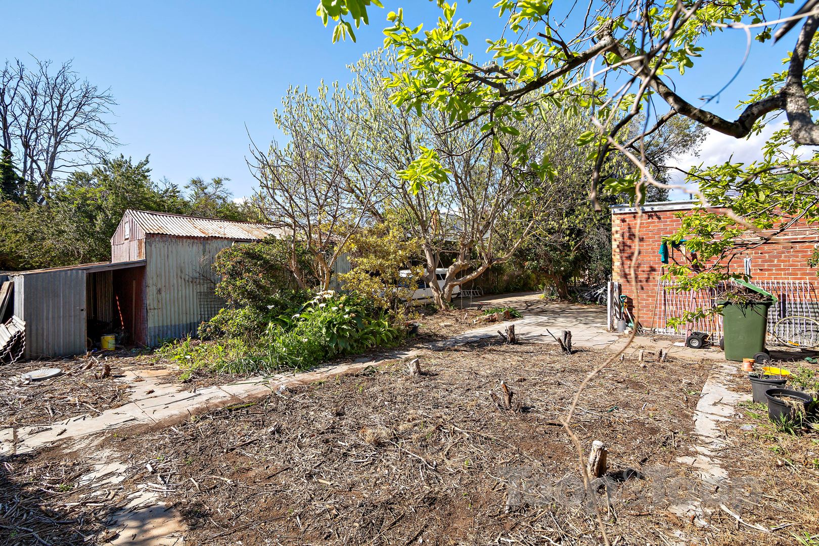 48 Ningana Avenue, Kings Park SA 5034, Kings Park - Thumbnail 3