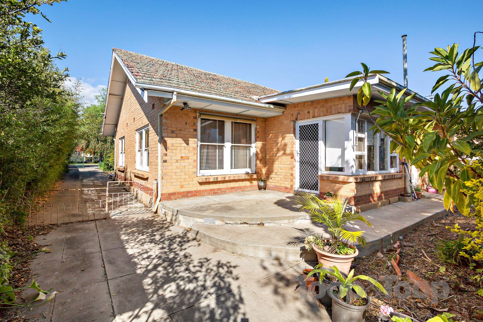 48 Ningana Avenue, Kings Park SA 5034, Kings Park - Thumbnail 2
