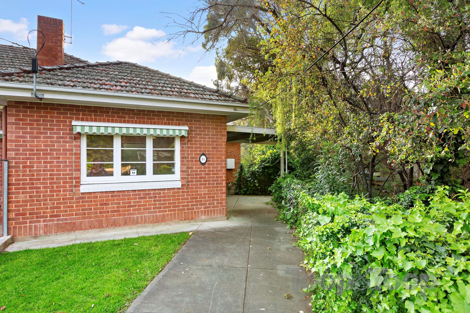 21-23 Gertrude Street, Norwood SA 5067, Norwood - Thumbnail 3