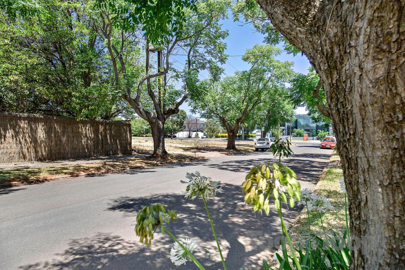 2 Trevorten Avenue, Glenunga SA 5064, Glenunga - Thumbnail 2