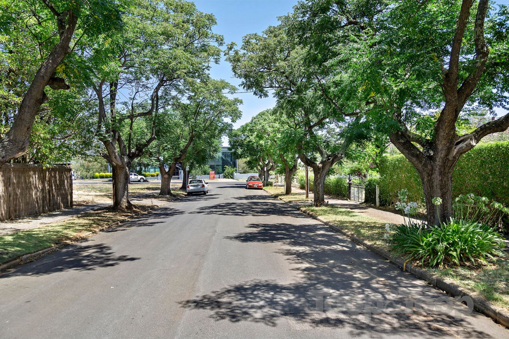 2 Trevorten Avenue, Glenunga SA 5064, Glenunga - Thumbnail 6